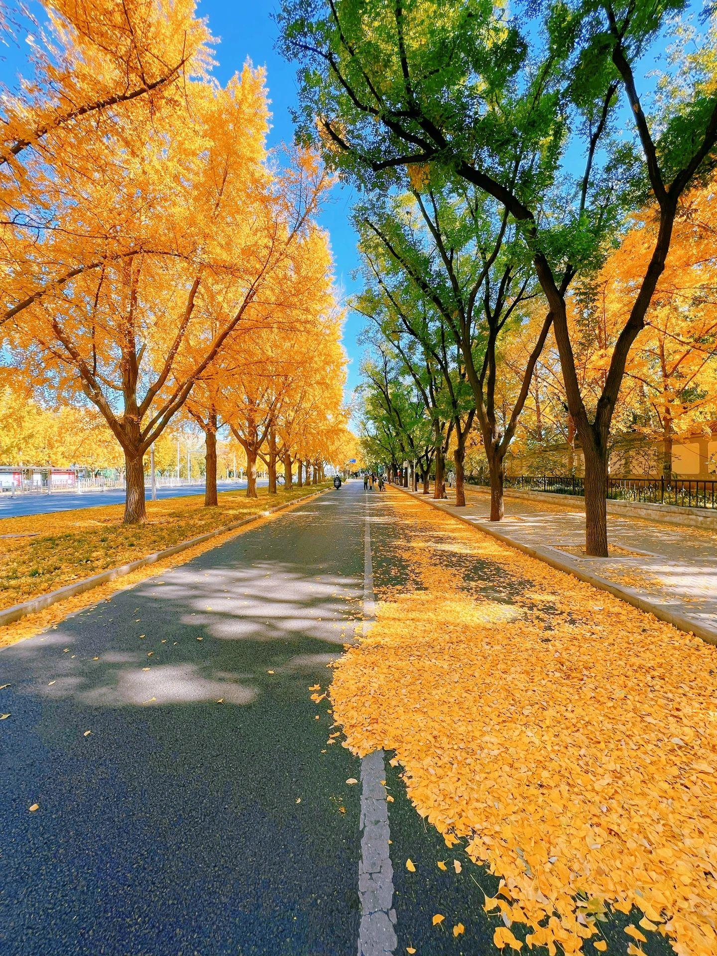 2发布于 2023-11-05 10:3399ip 属地河北登录知乎,您可以享受以下