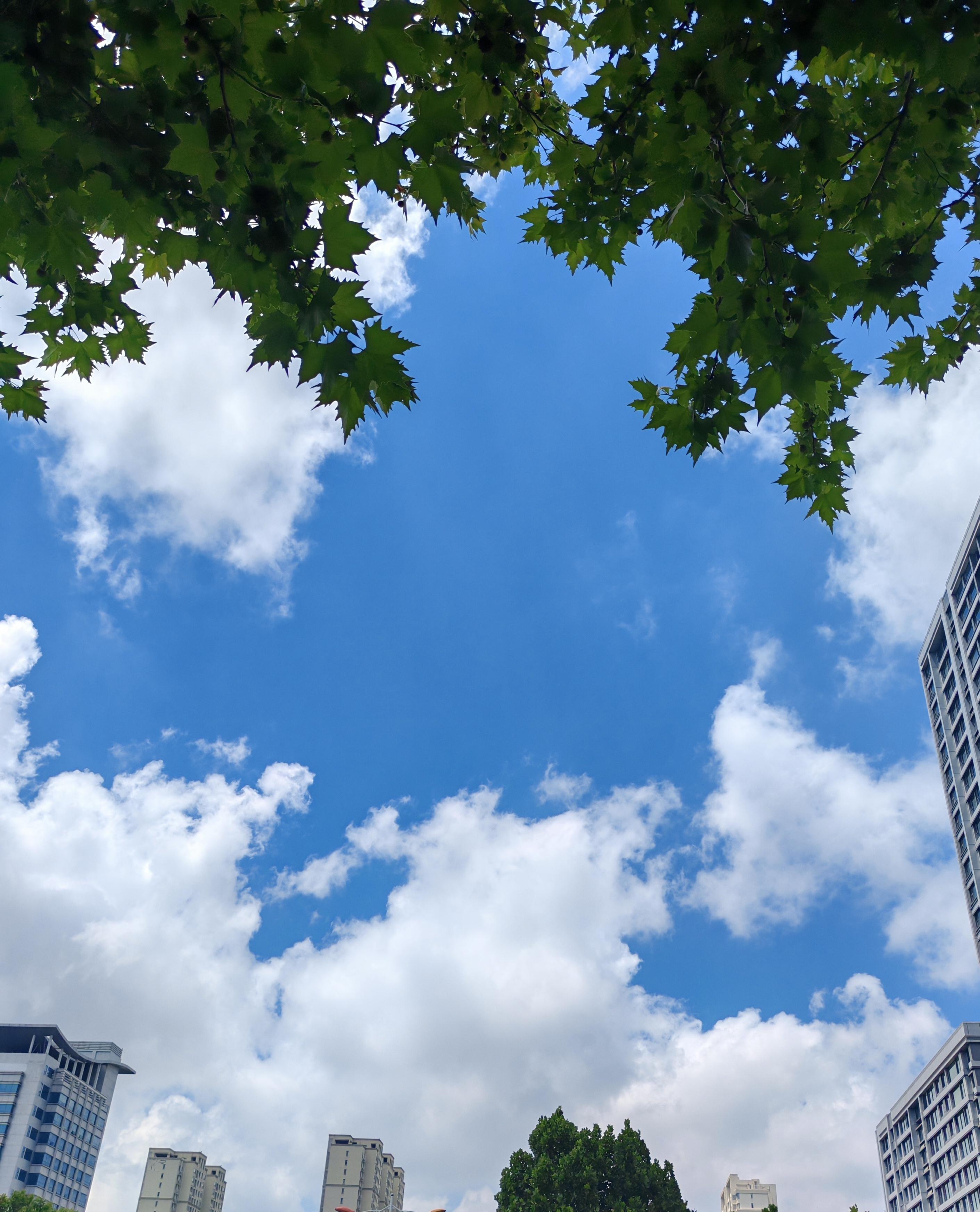 的想法: 天空的诗意:行也思君坐也思君