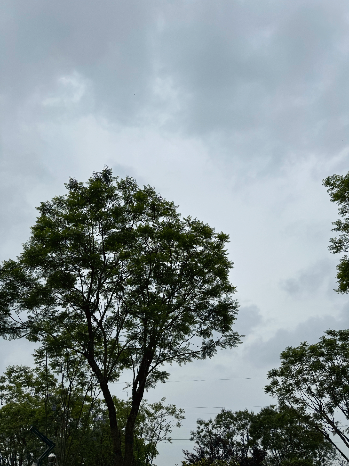 树 的想法: 今天心血来潮,我随手在地图上翻找,偶然发现了这个在城市