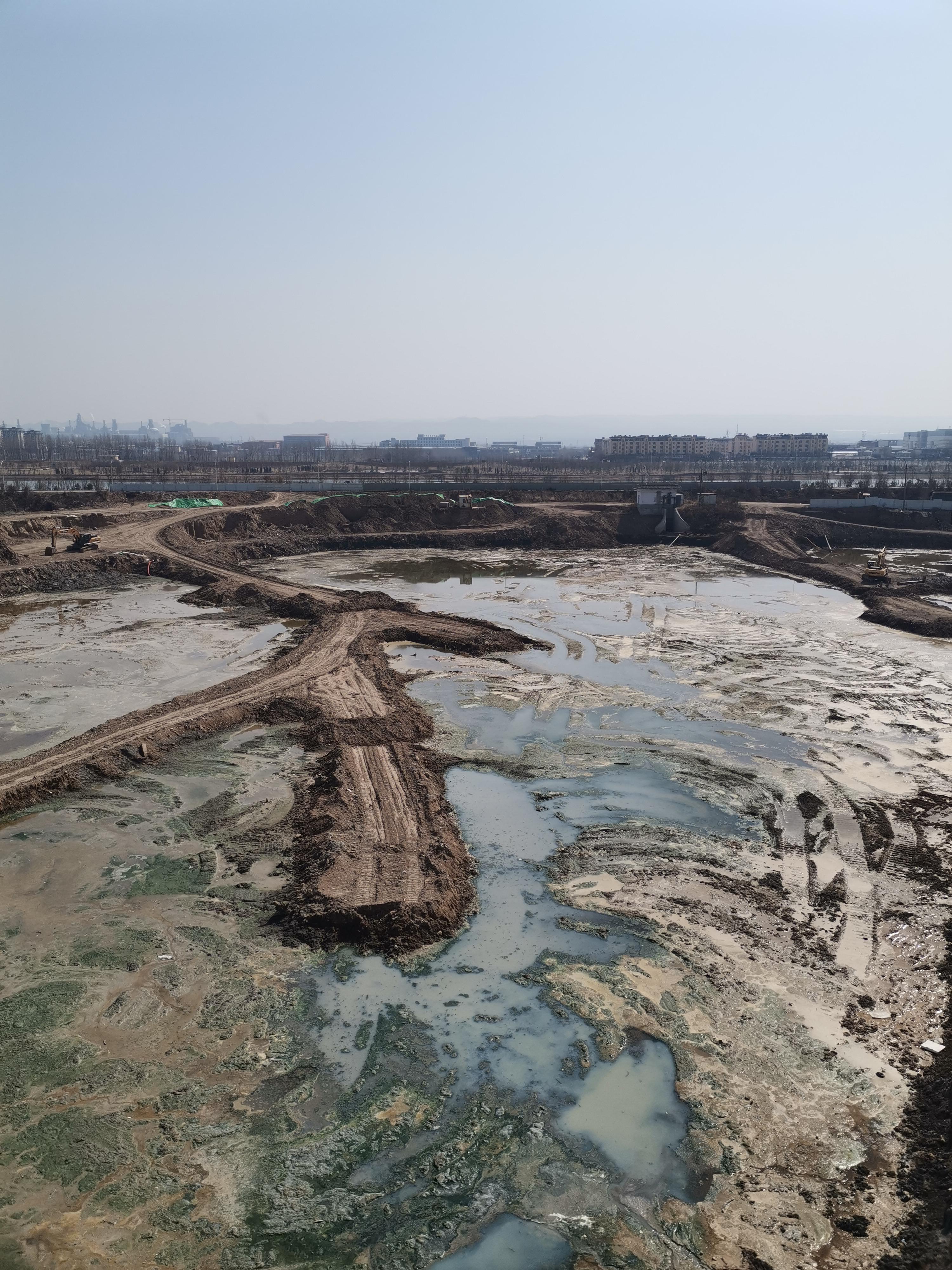 大妞和小妮 的想法: 期待我楼下的春天早点到来