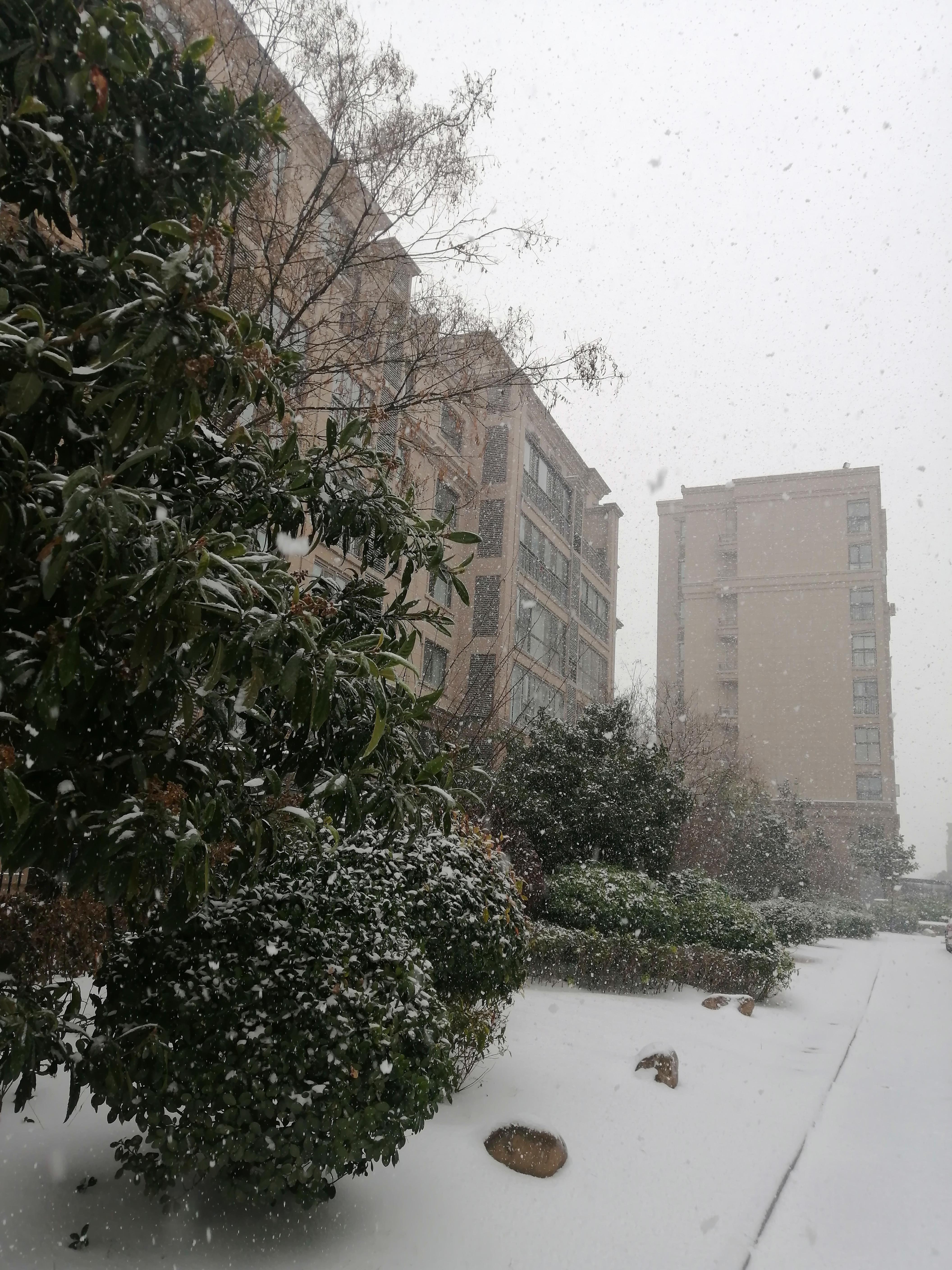 下雪的照片真实点的图片