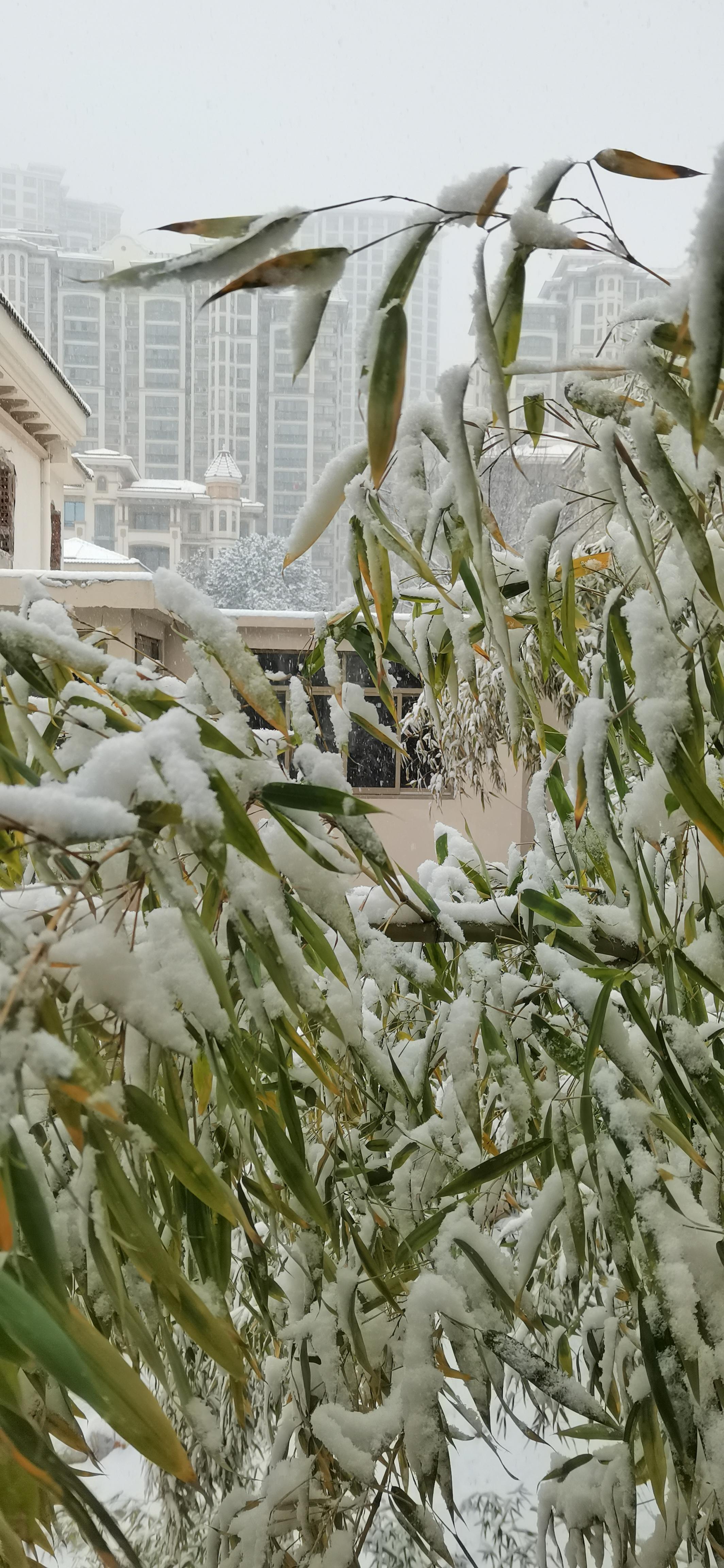 看窗外雪花飘飘图片图片