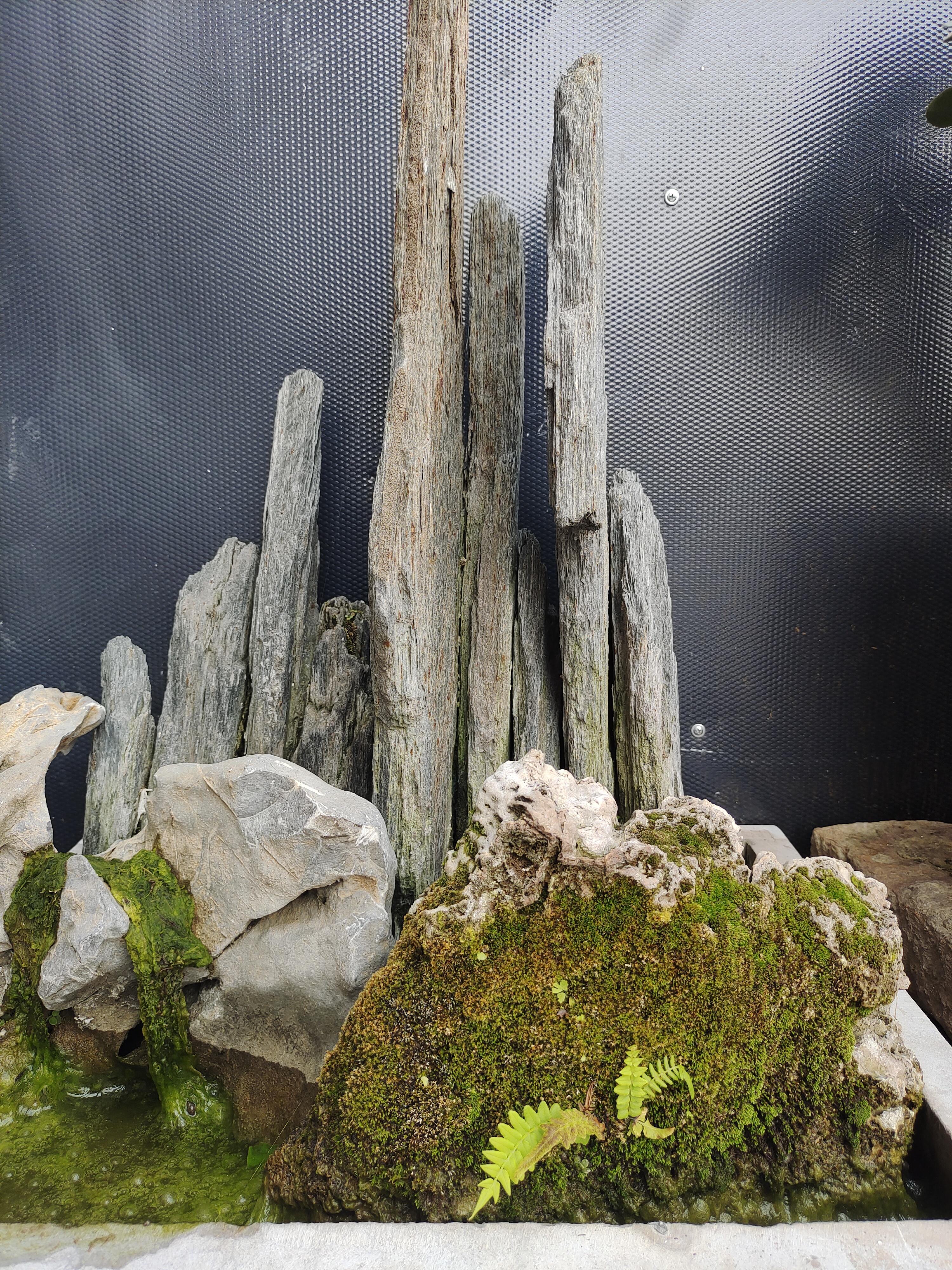 施吉涛 的想法: 昨天,我姐又找了一个铺面,再开