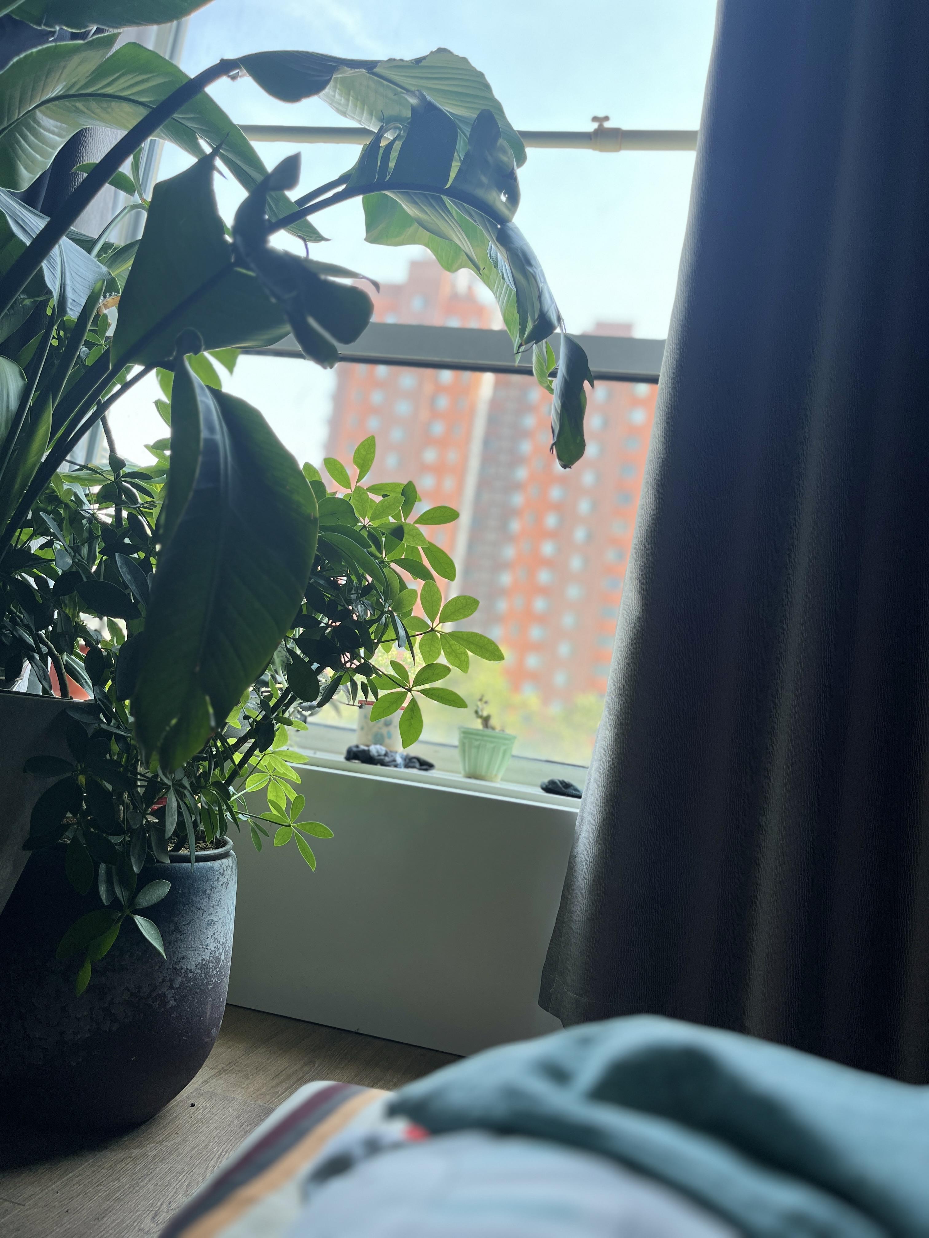 相机而动? br> br>有时候你永远无法理解某些人的某些魔幻行为.