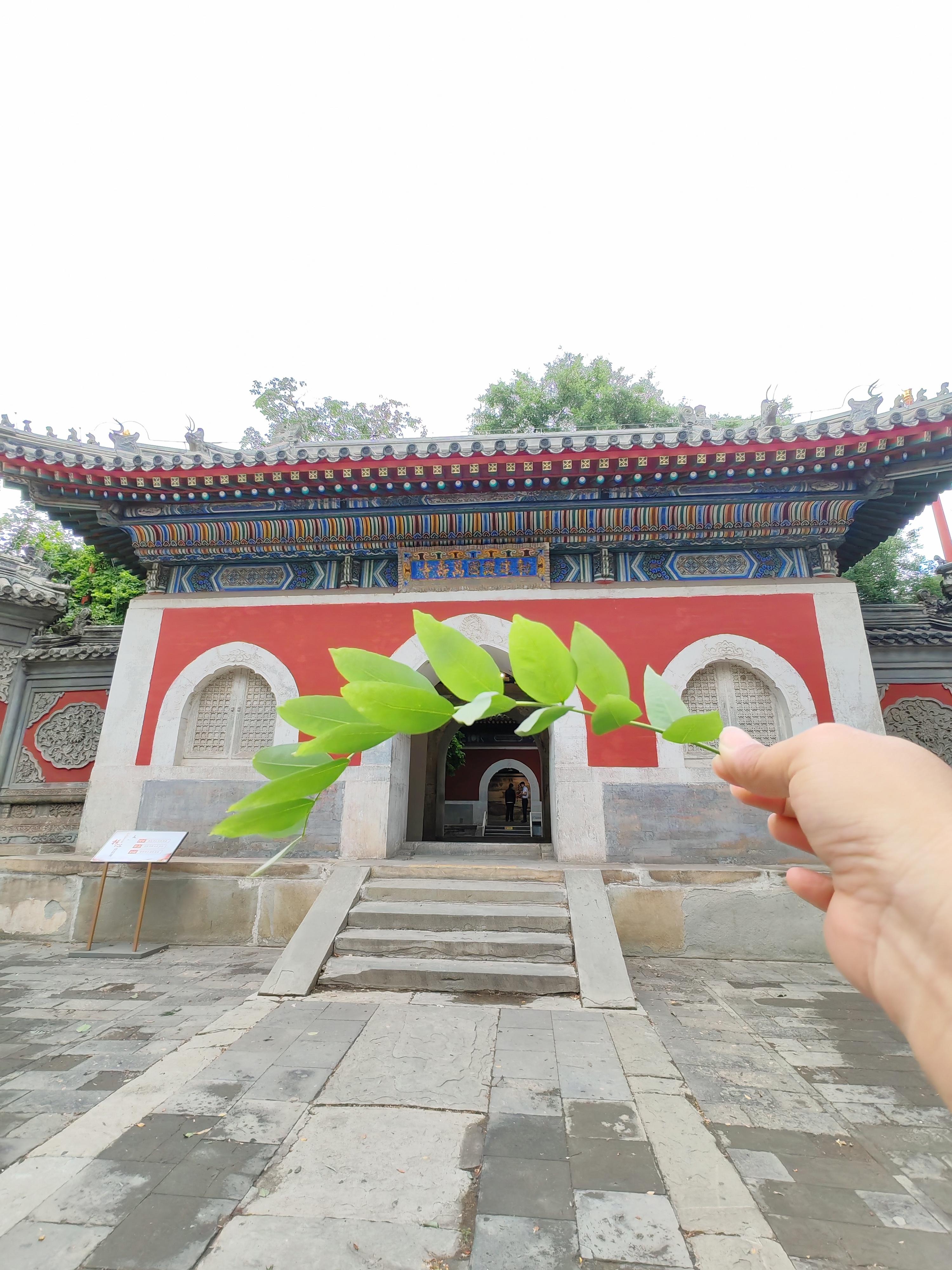 大五花 的想法: 自然风光和建筑的壁纸