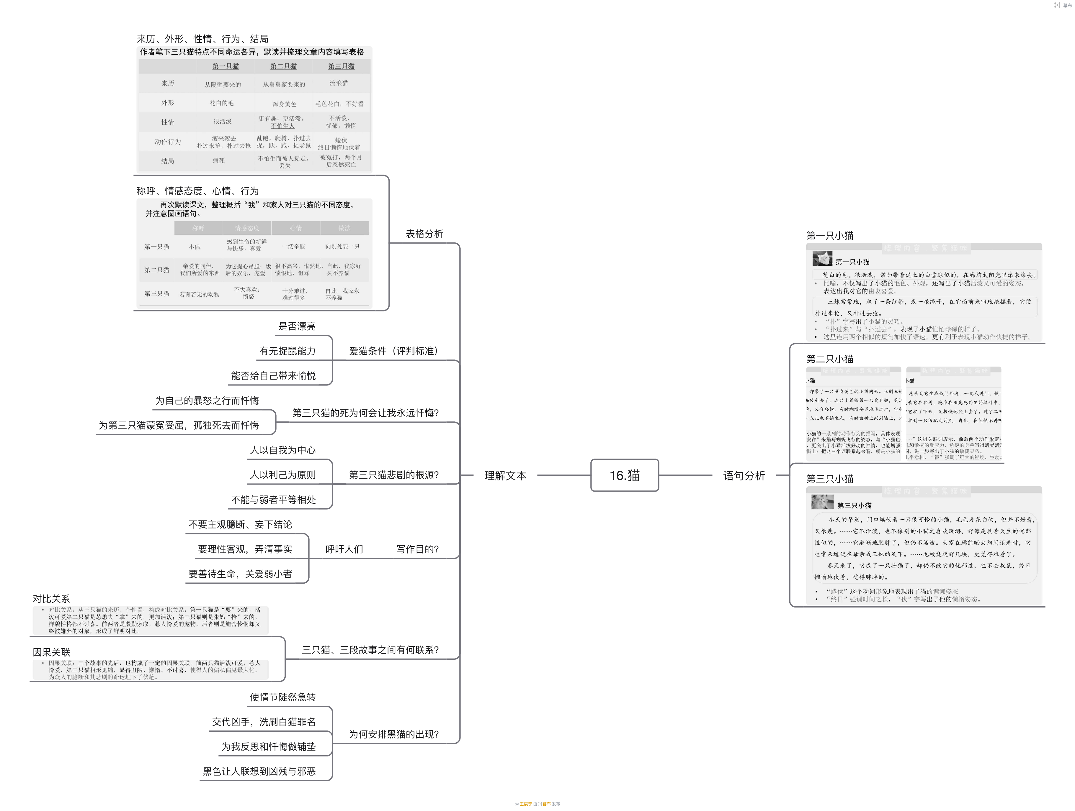 七年级上册猫思维导图图片