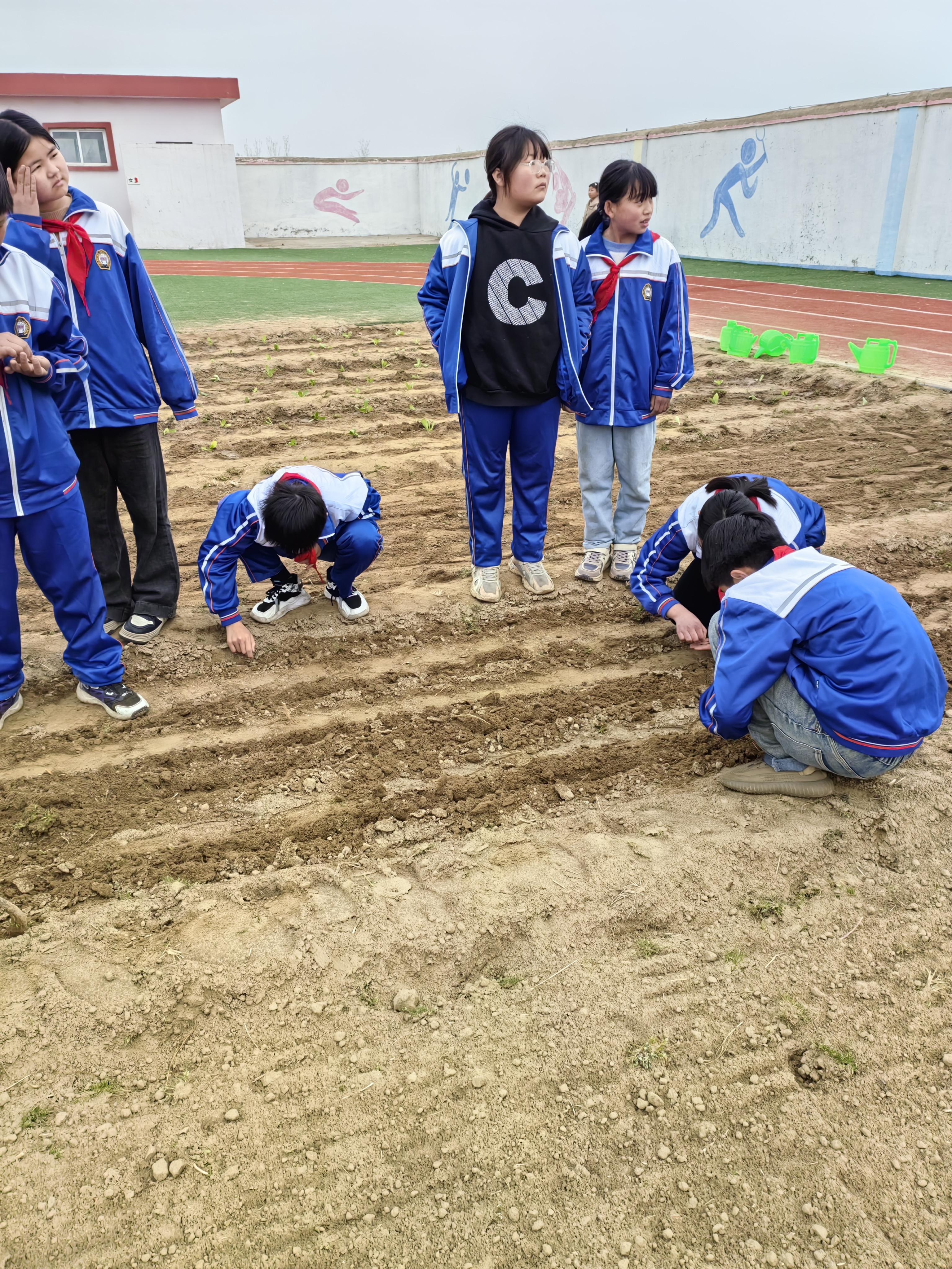 课题论文辅导 的想法: 小学六年,别让溺爱成为你放纵的借口
