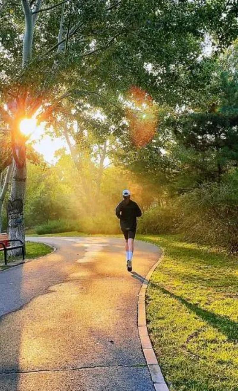 佛光 的想法: 人生路上,向着太阳奔跑