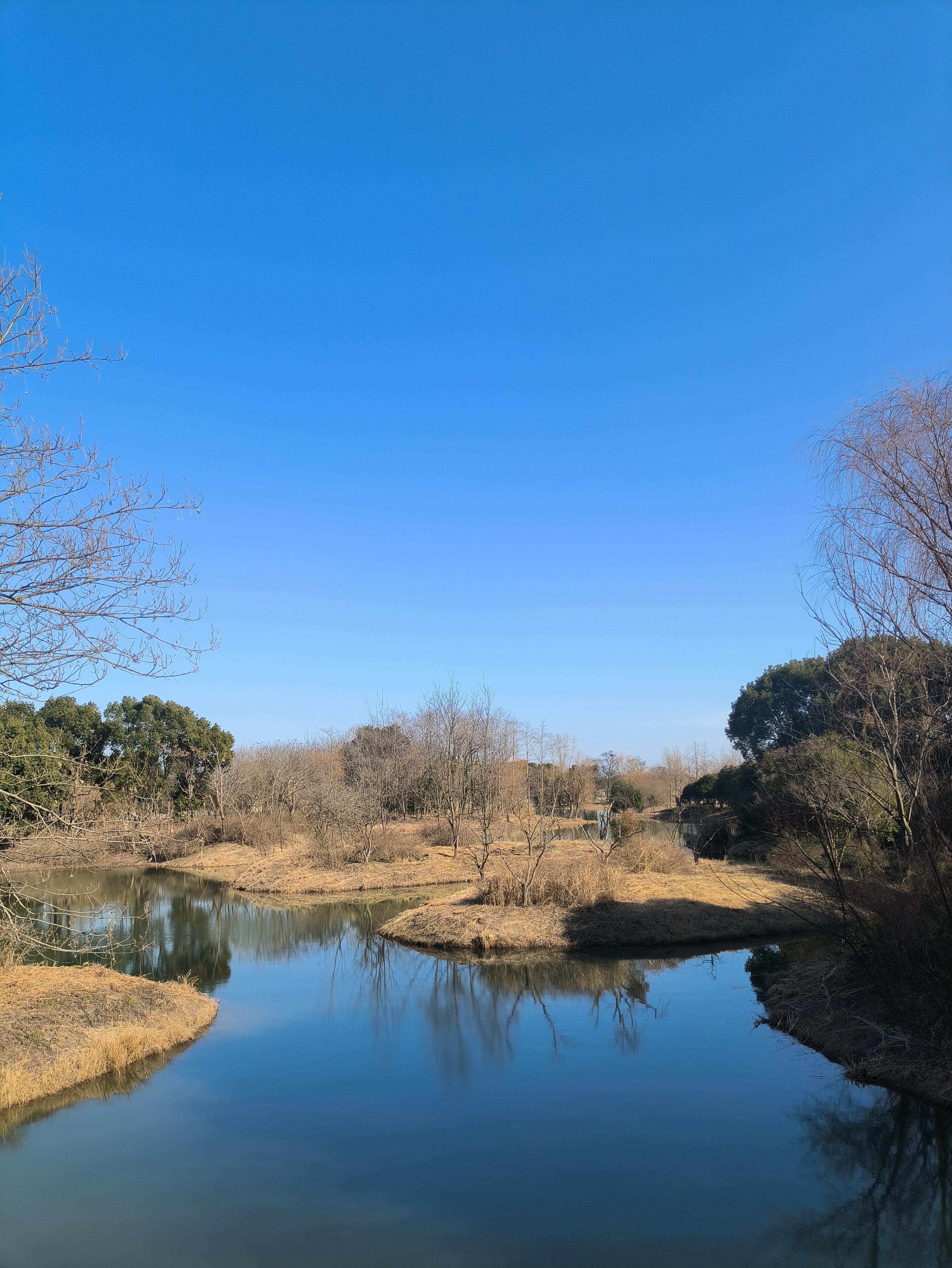 惠风和畅风景图片图片