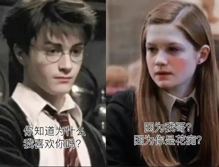 爱玛 的想法: 糖霜初遇:金妮遇见哈利