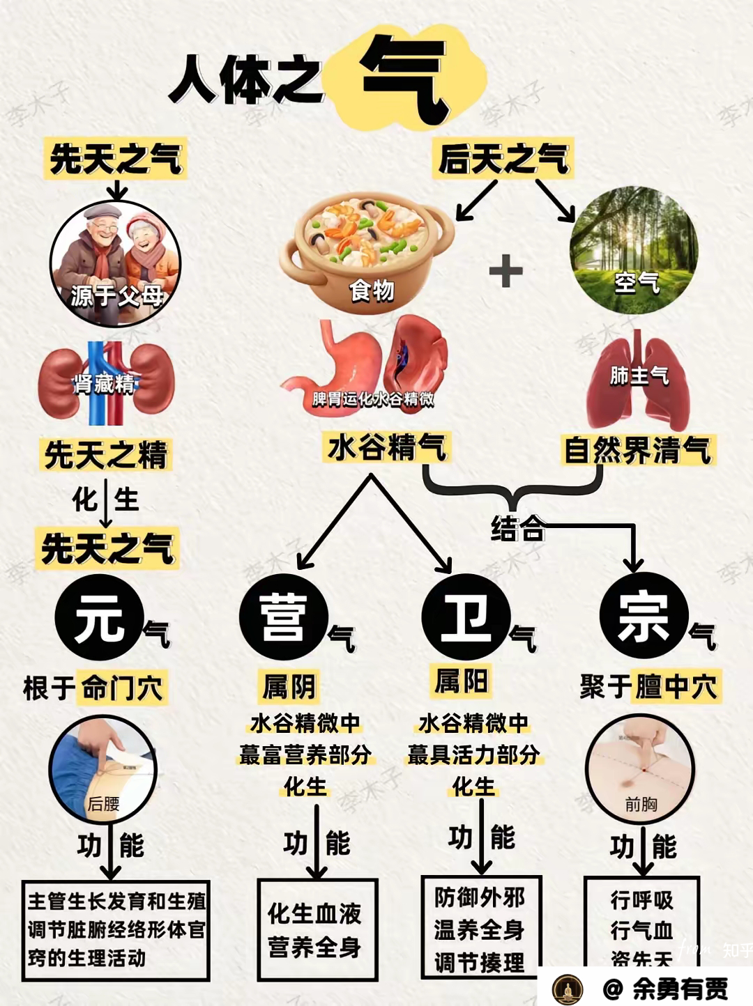 余勇有贾 的想法: 中医知识:"精气血津液神"概念