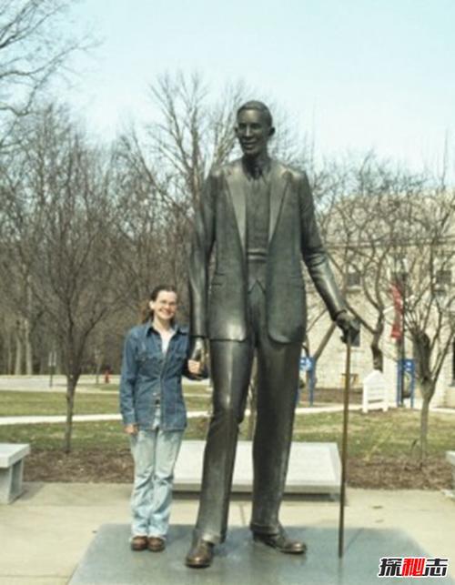 的想法: 世界"巨人" | 世界上最高的人 br>——罗伯特·潘兴·瓦德罗