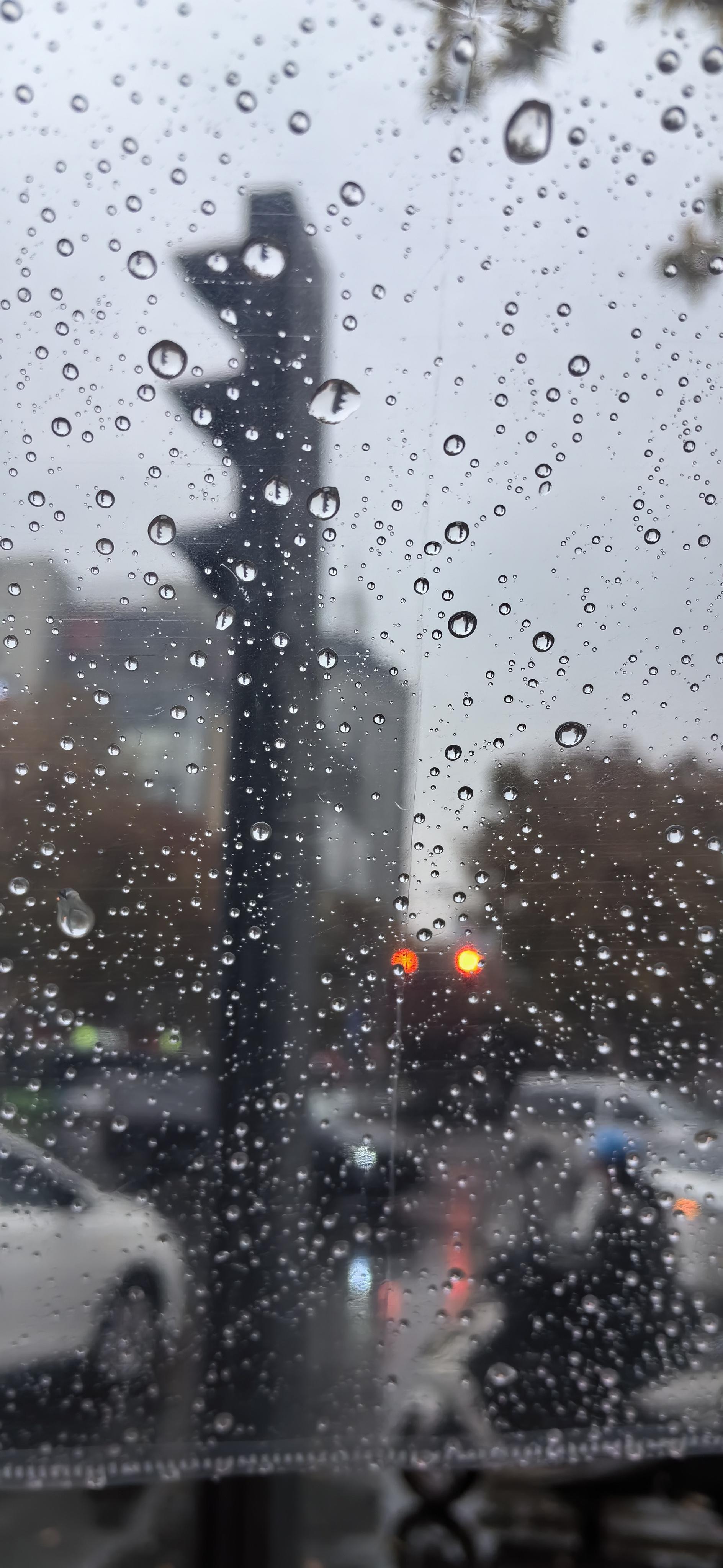 summer 的想法: 冬日的雨天 | 冬日的西安,迎来了一场冬雨,气温陡降