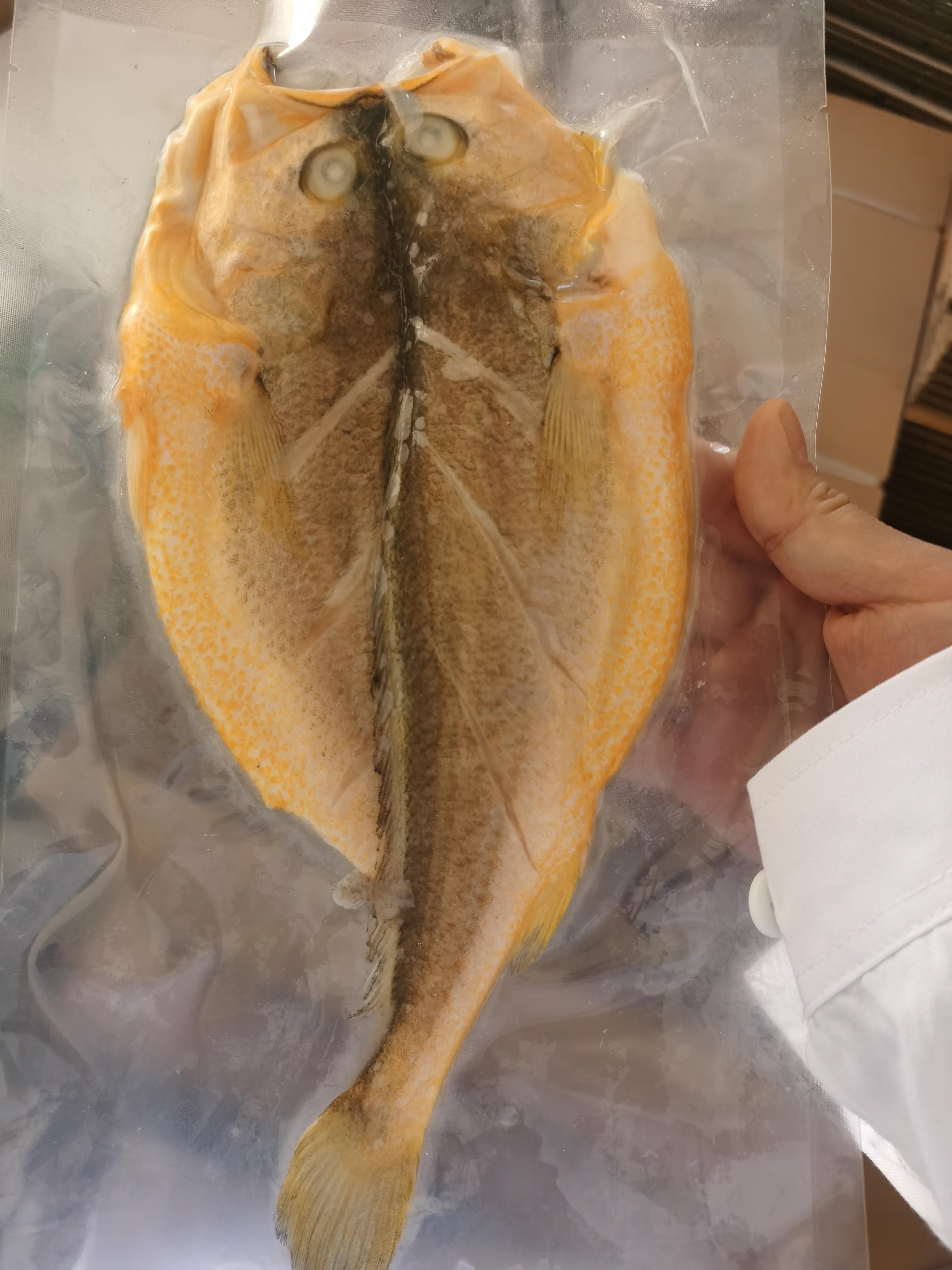 花千树 的想法: 宁德大黄鱼 | 93美食名称:宁德大黄鱼 br>99在哪