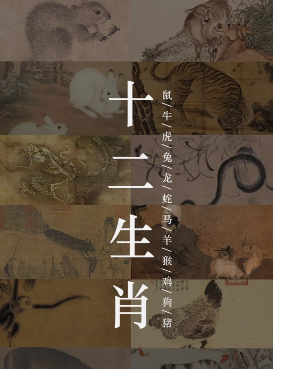 面相分析十二生肖运势详解(12面相术)