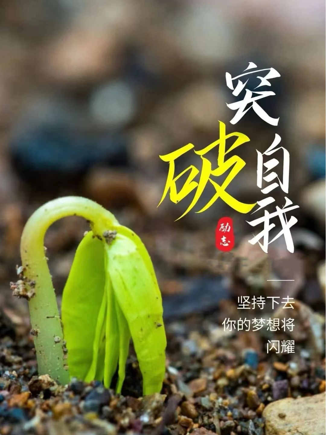 成长就是不断突破自我的过程生活从不眷顾因循守旧满足现状者从不等待