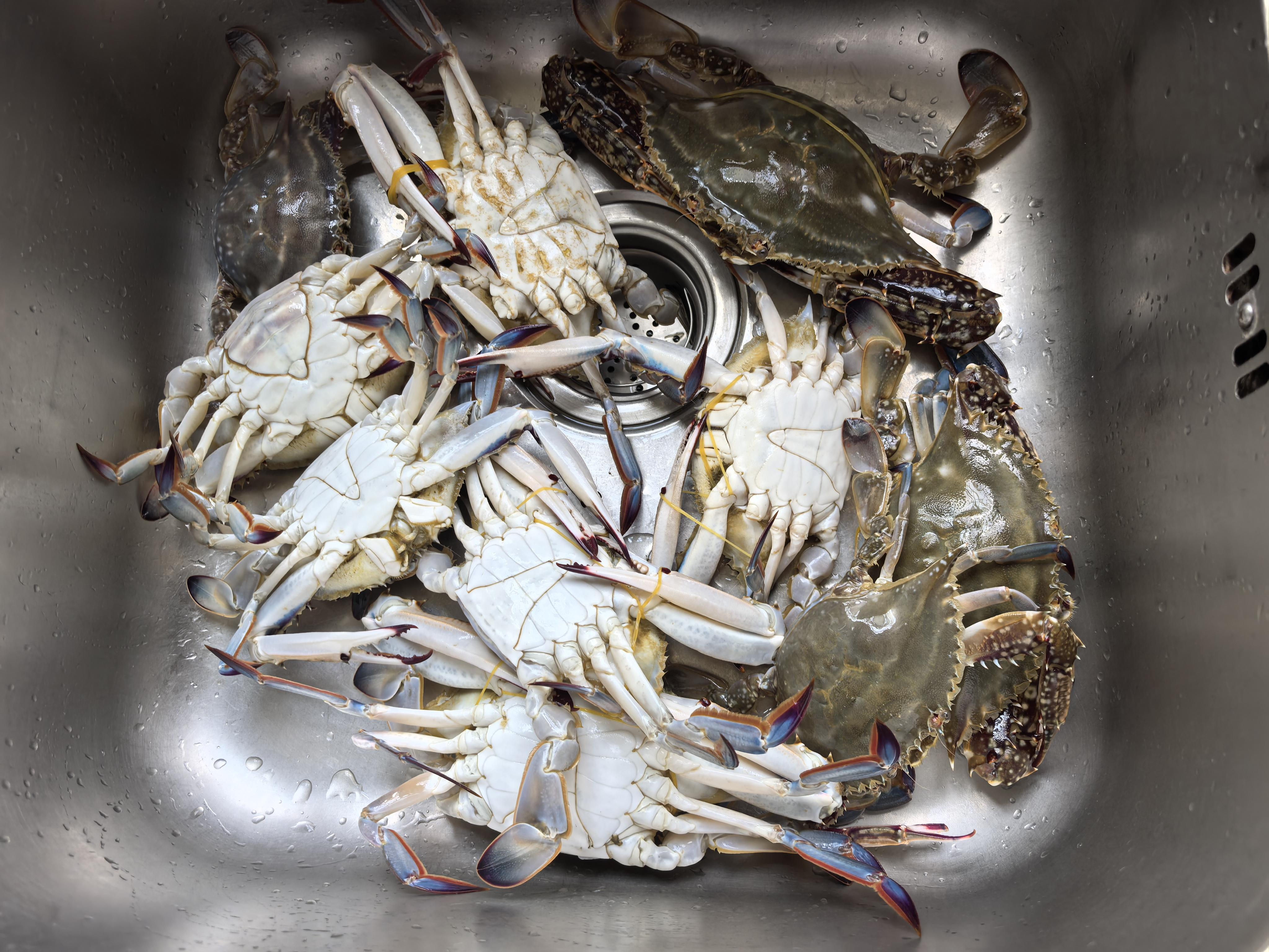 山椰 的想法: 一蟹两吃