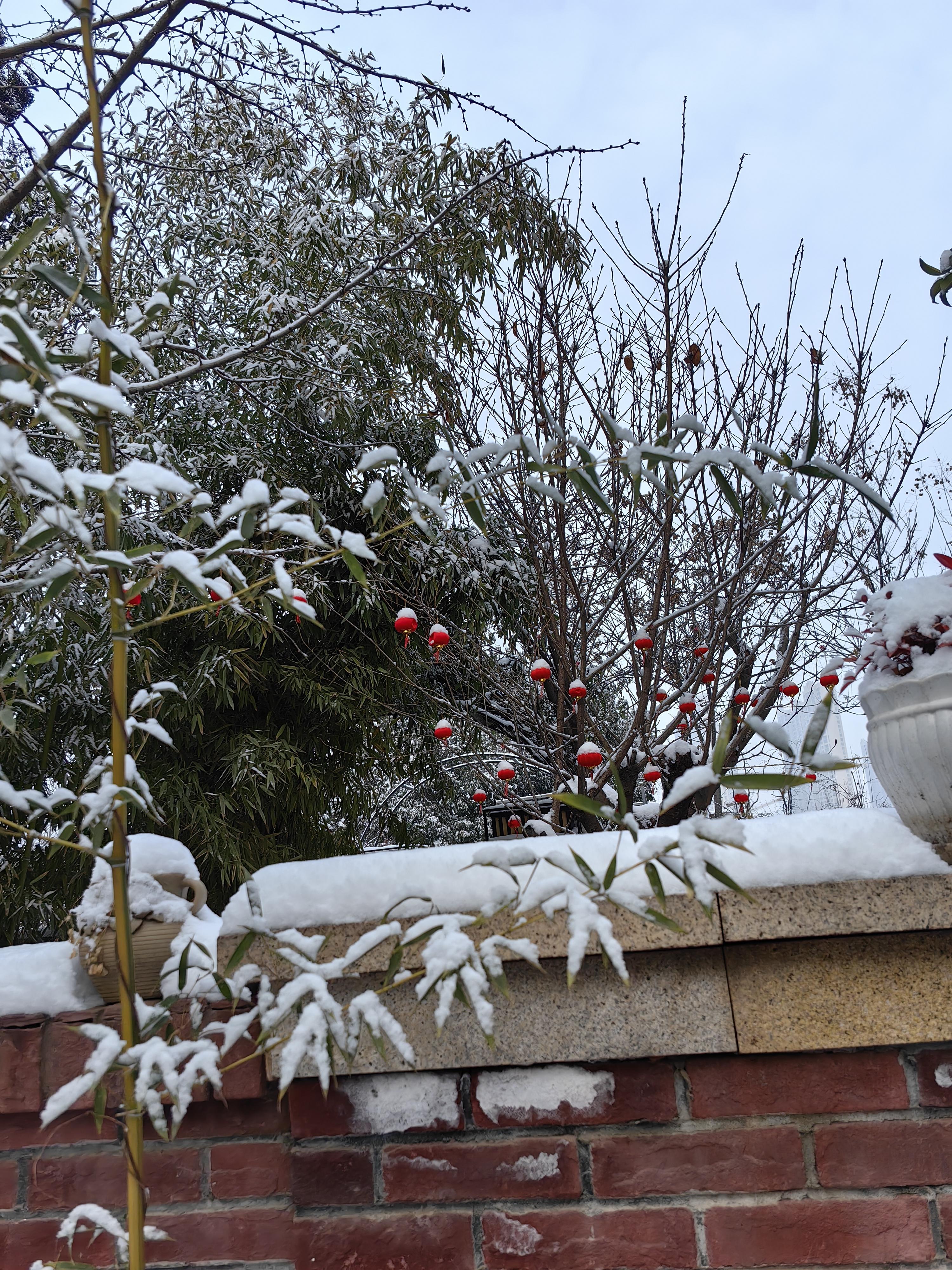 刚在知乎上刷到这句话:记住,你从来都安然无恙! br>被震到了.