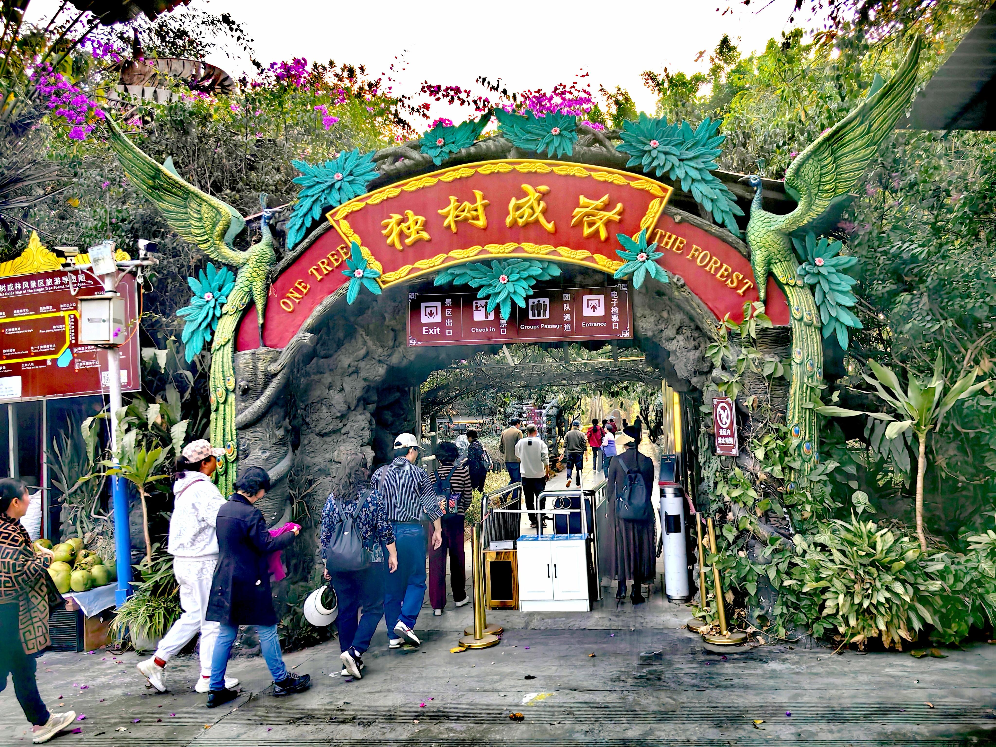 飞星 的想法: 瑞丽独树成林景区简介