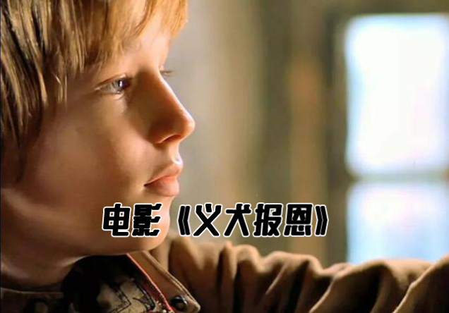 《义犬报恩》:生命的蜡烛不会无端的熄灭,只要有爱便可重获新生