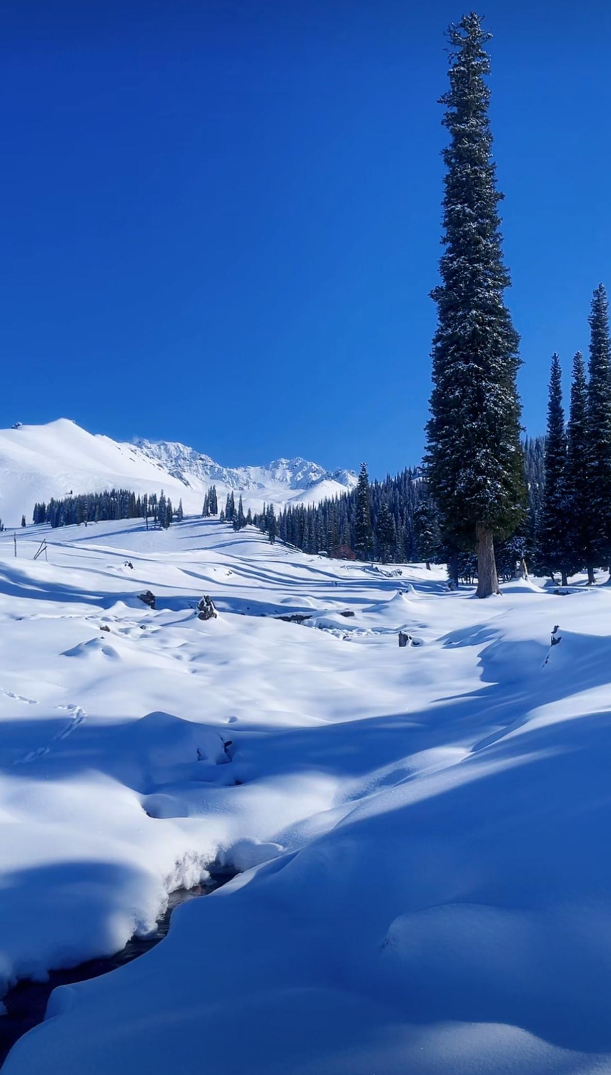 【祁连山雪景,美得让人心醉!