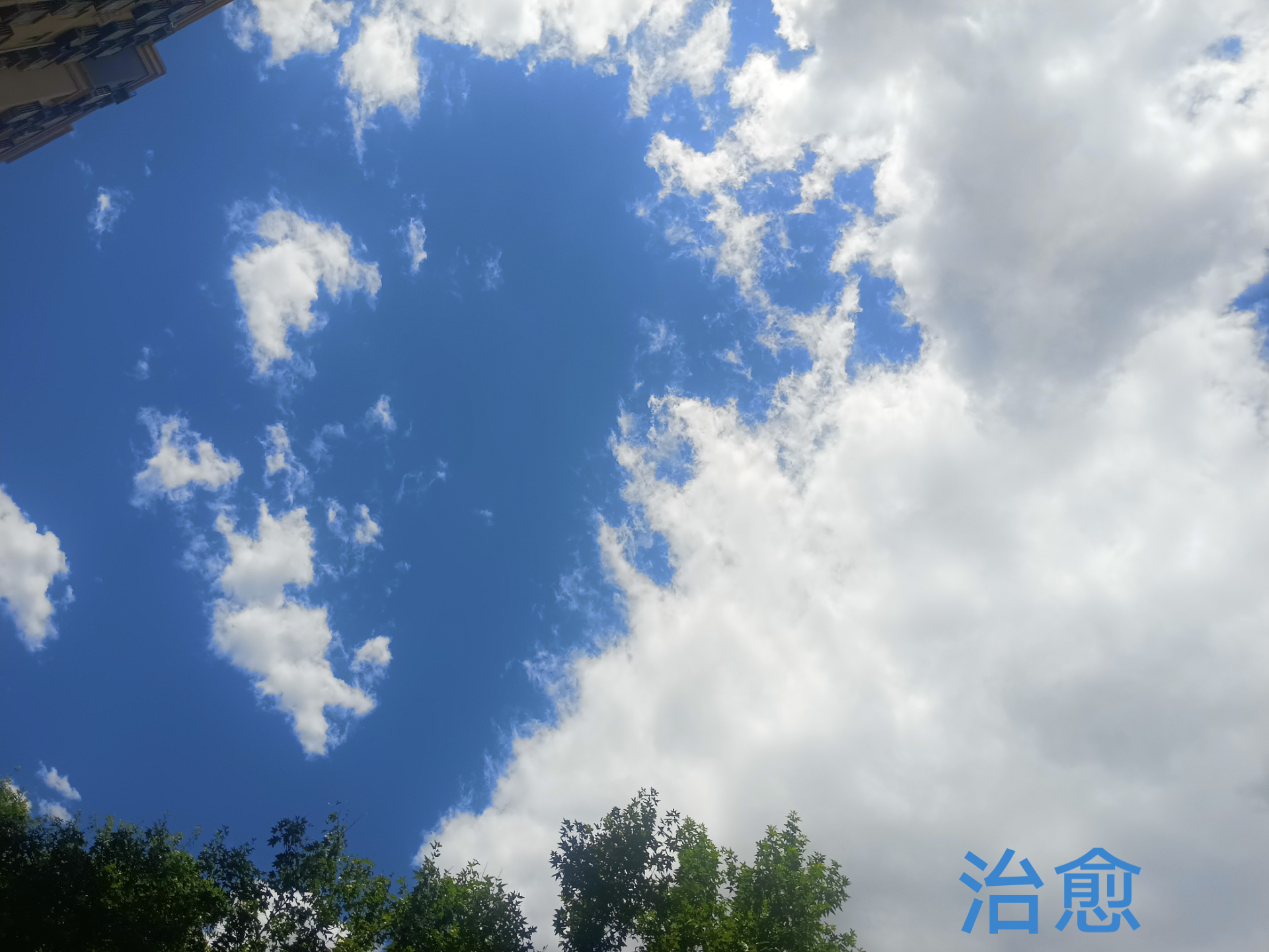 绿叶爱太阳 的想法: 天空随手拍