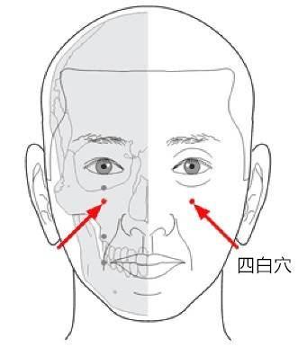 邻安益生 的想法: 每天认识一个穴位——四白穴 | 四白,属足阳明胃经。四,数词,指四面八方,亦指穴所在的周围空间。白,… - 知乎