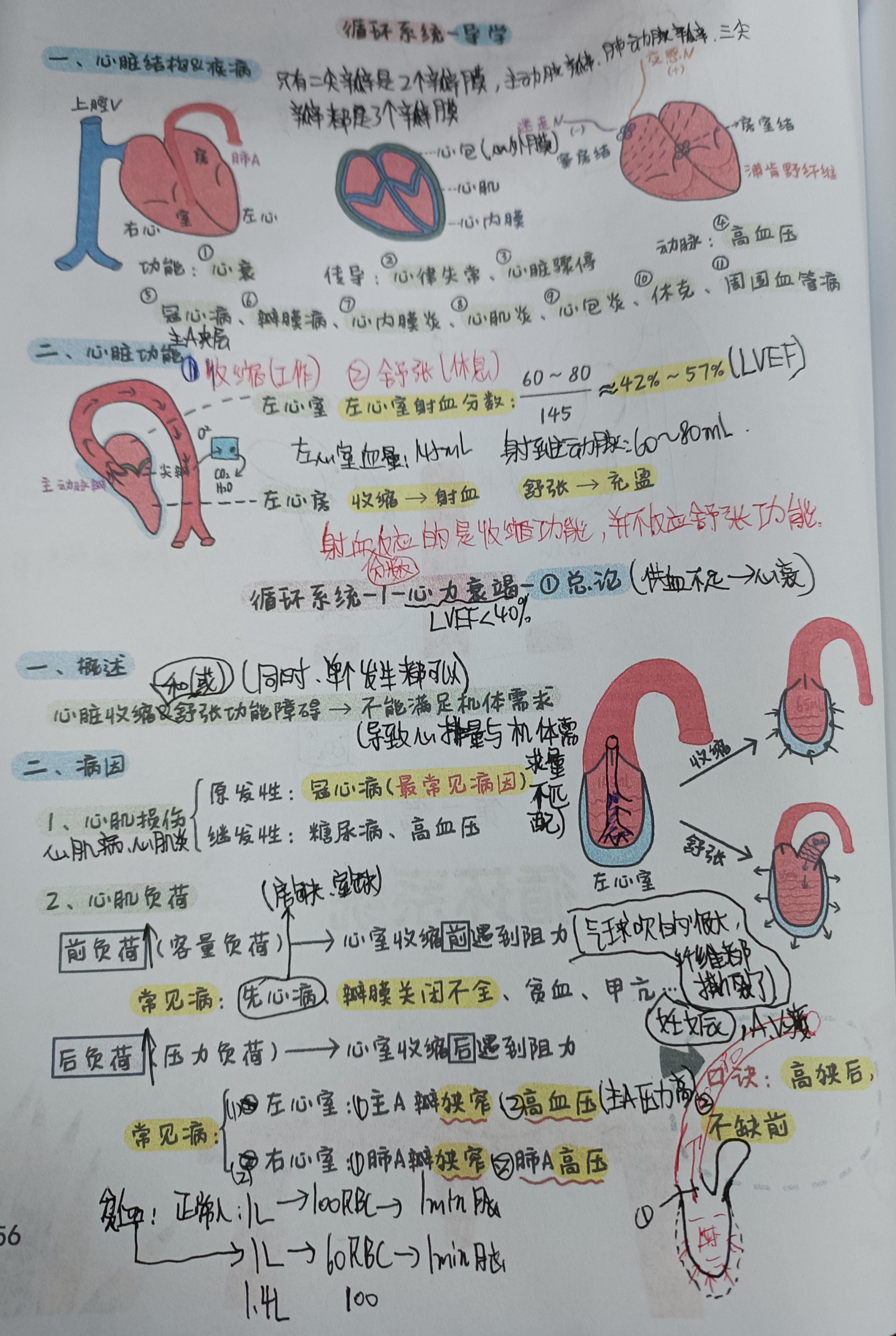 彼得兔 的想法: 循环系统导学 心力衰竭总论 | 从今天开始,就进入内科