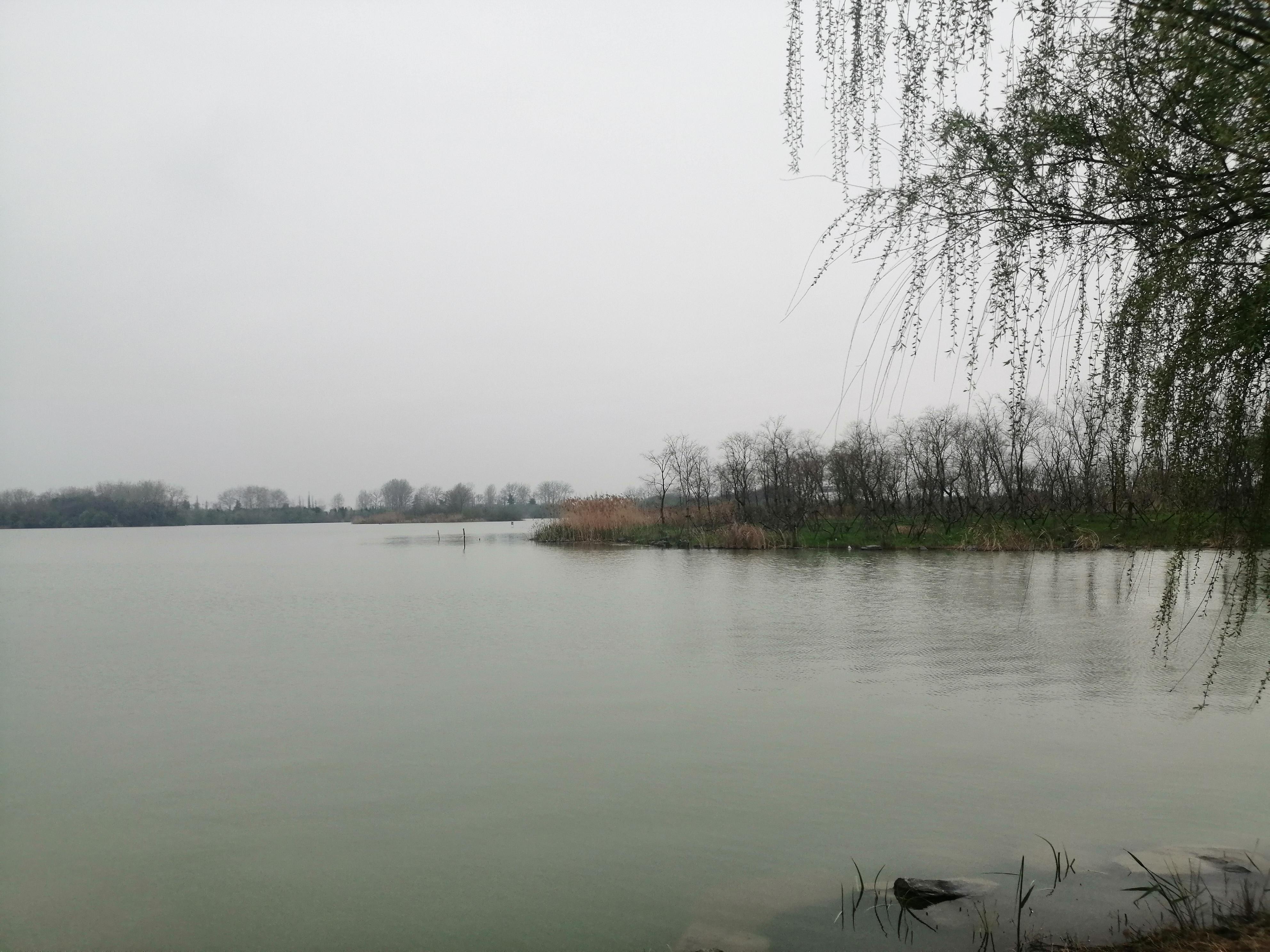 木石 的想法: 颍州西湖