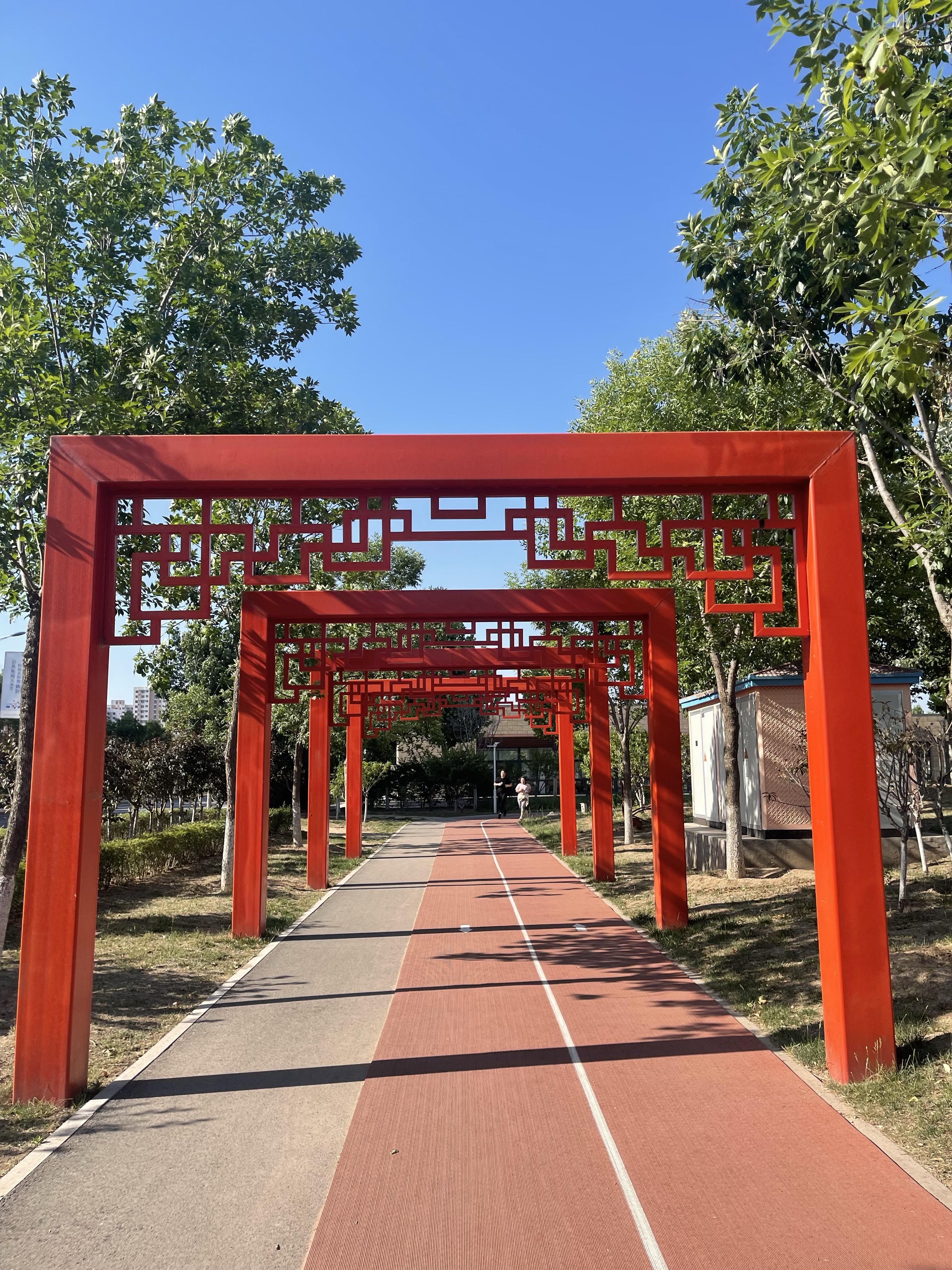 努力拼搏的年纪 的想法: 精武文化公园的荷花开了