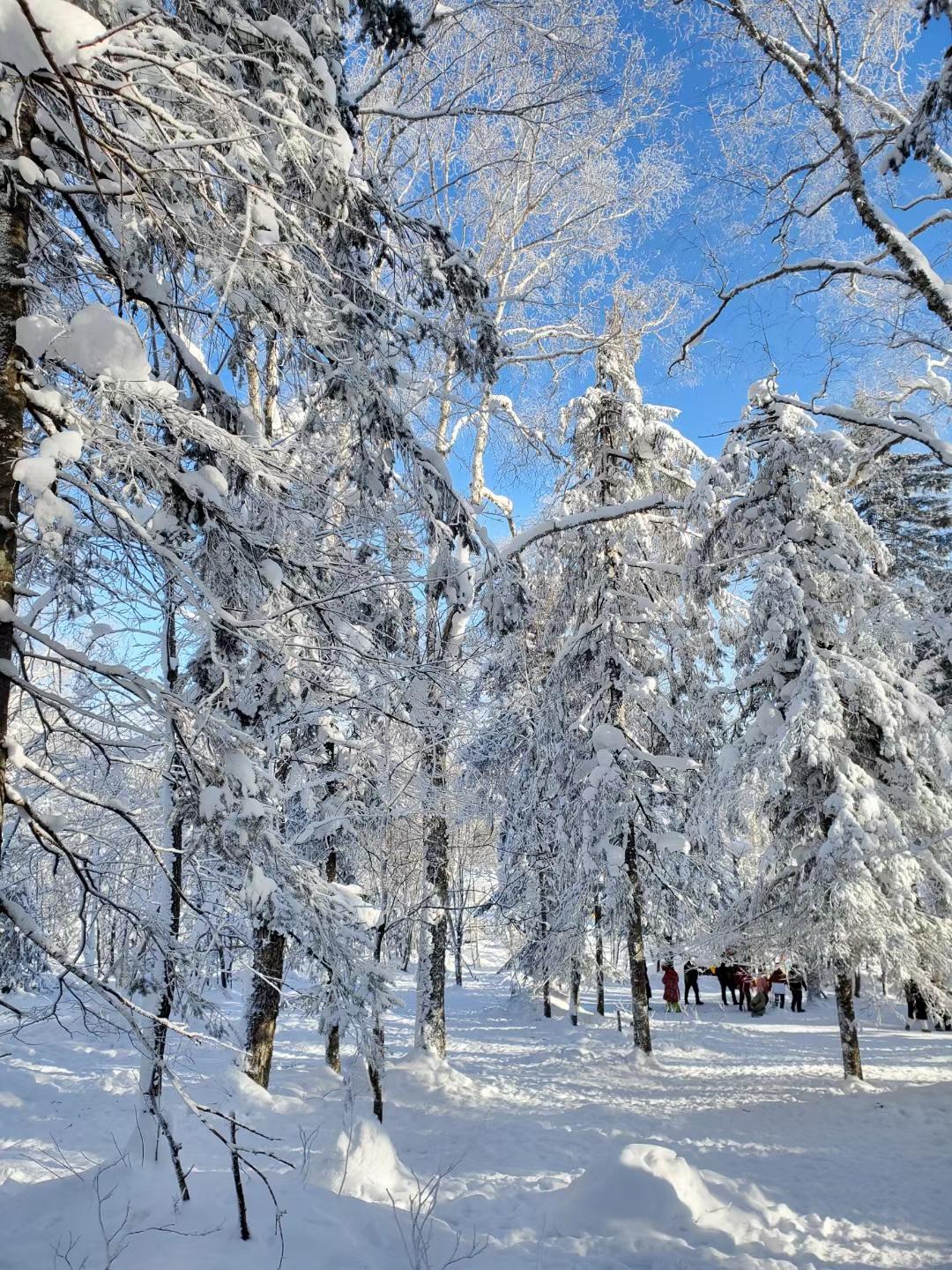 东北雪景手机壁纸图片