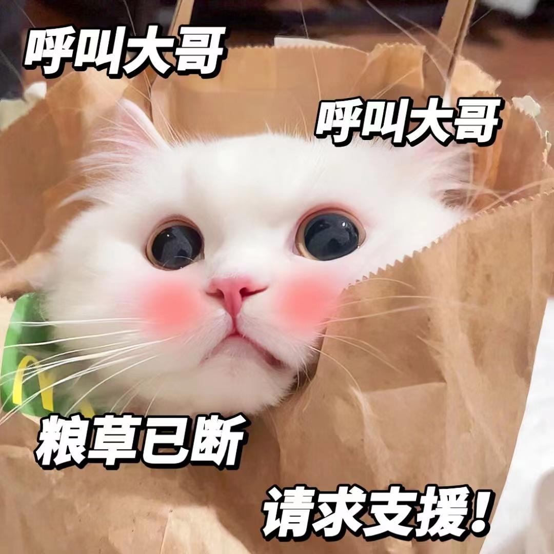 牵猪蹄表情包图片