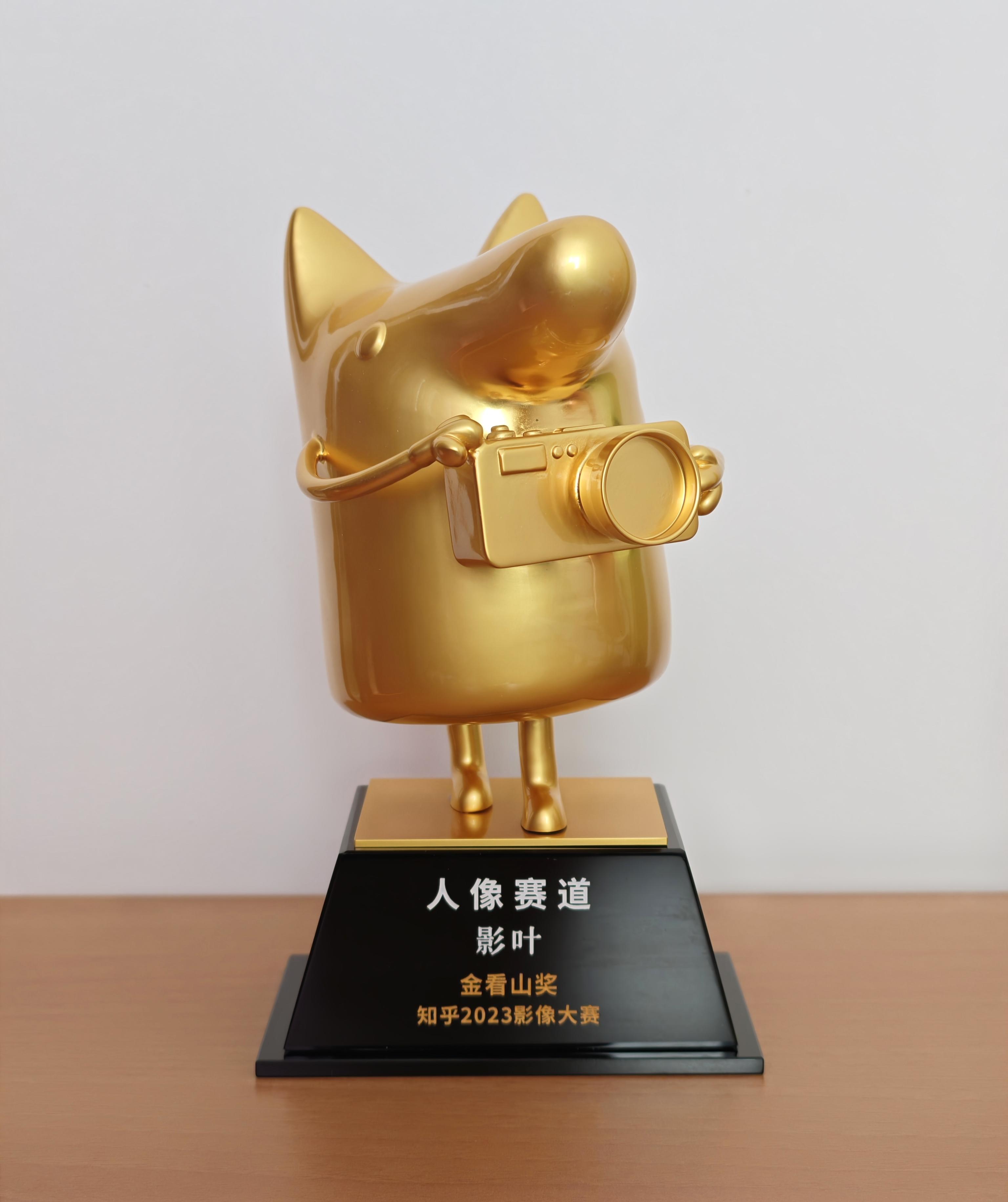 影叶的光色世界 的想法: 我获得知乎影像大赛金奖和铜奖