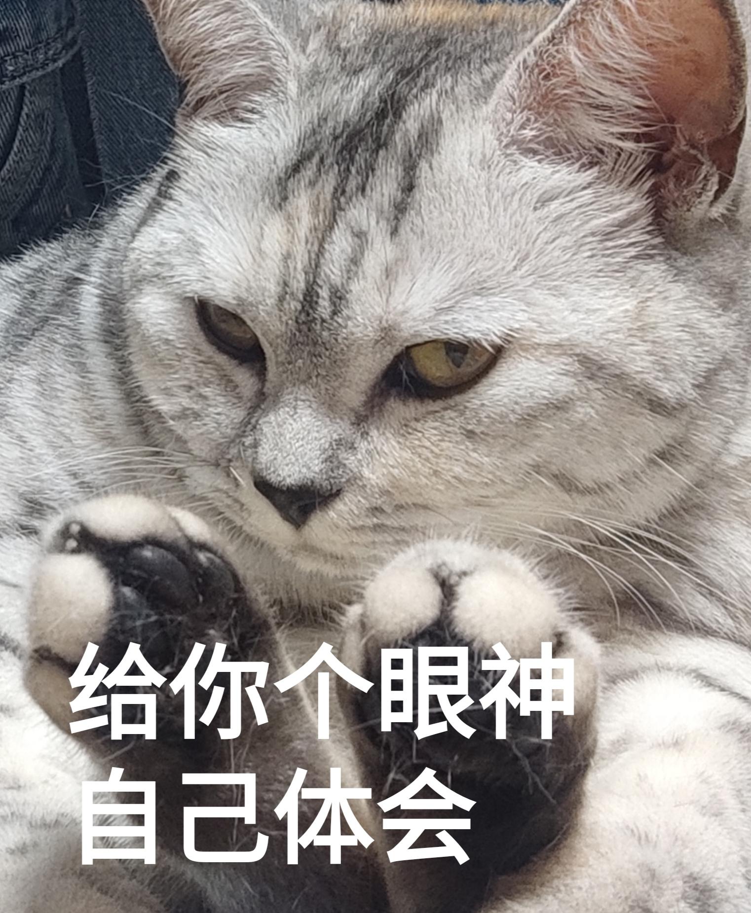 喵子来啦 的想法: 表情包之鄙视系列