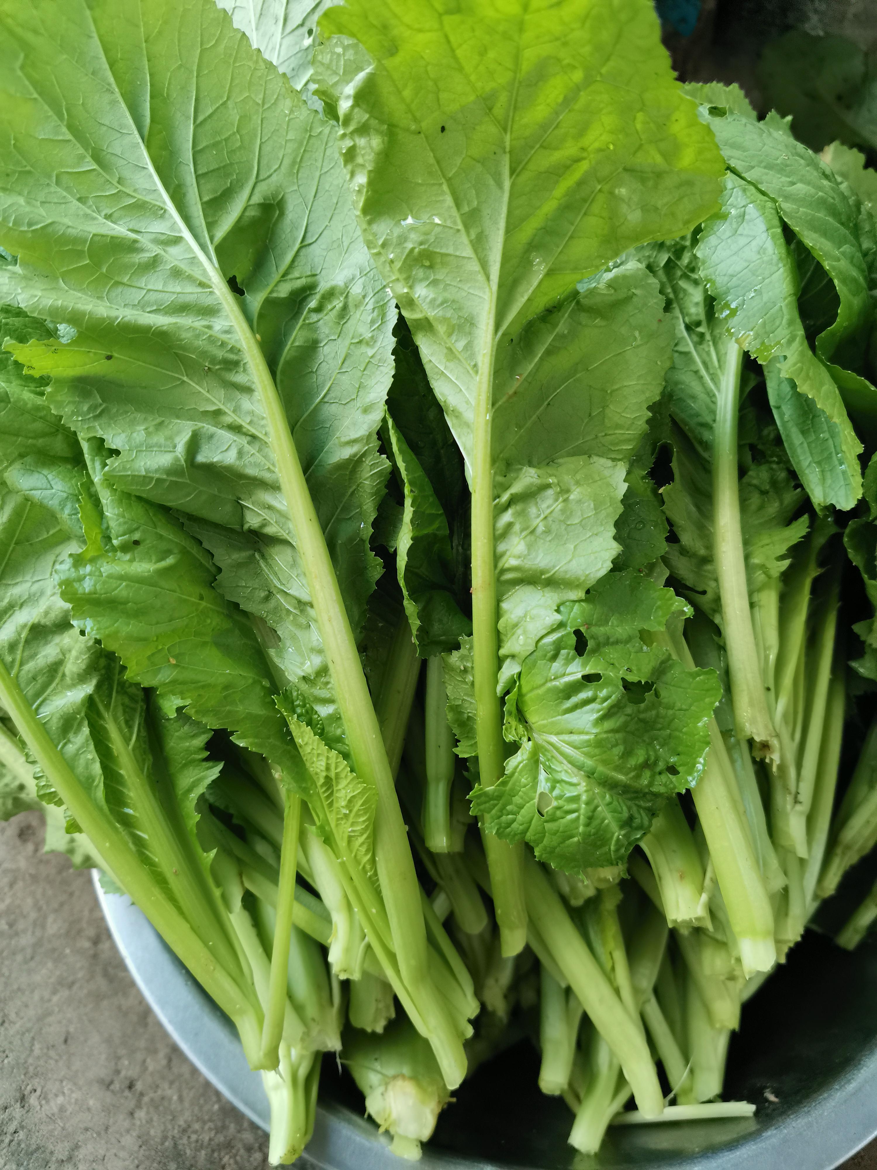 干板菜方便存放,在缺少蔬菜的季节就