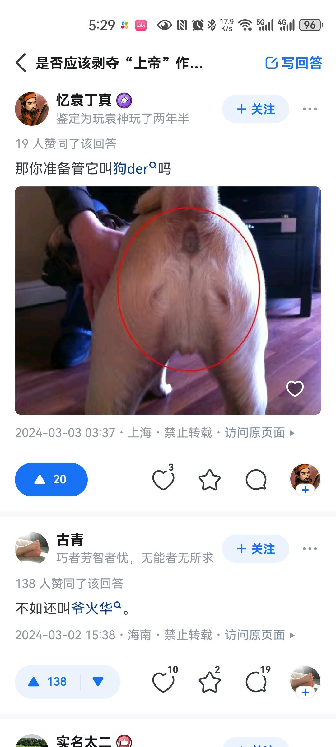 狗der不是图片图片