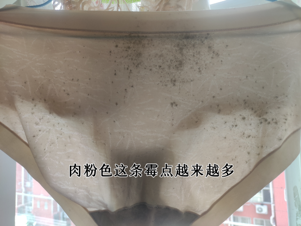 我在超市买了同一款不同颜色的两条薄款夏天穿的内裤,一件肉粉一件