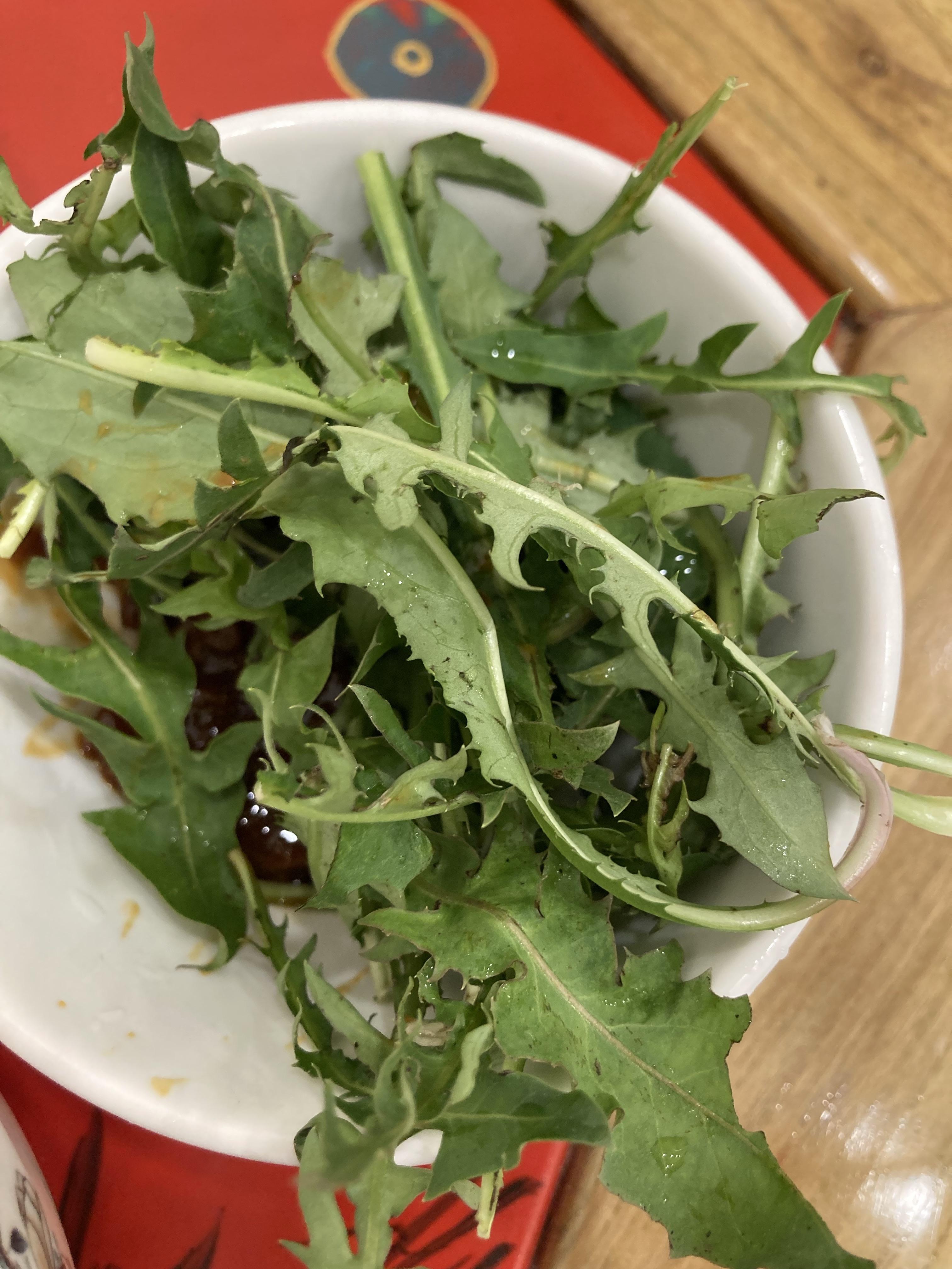 婆婆丁-家乡经典野菜现在这个季节正是婆婆丁遍地泛滥的季节