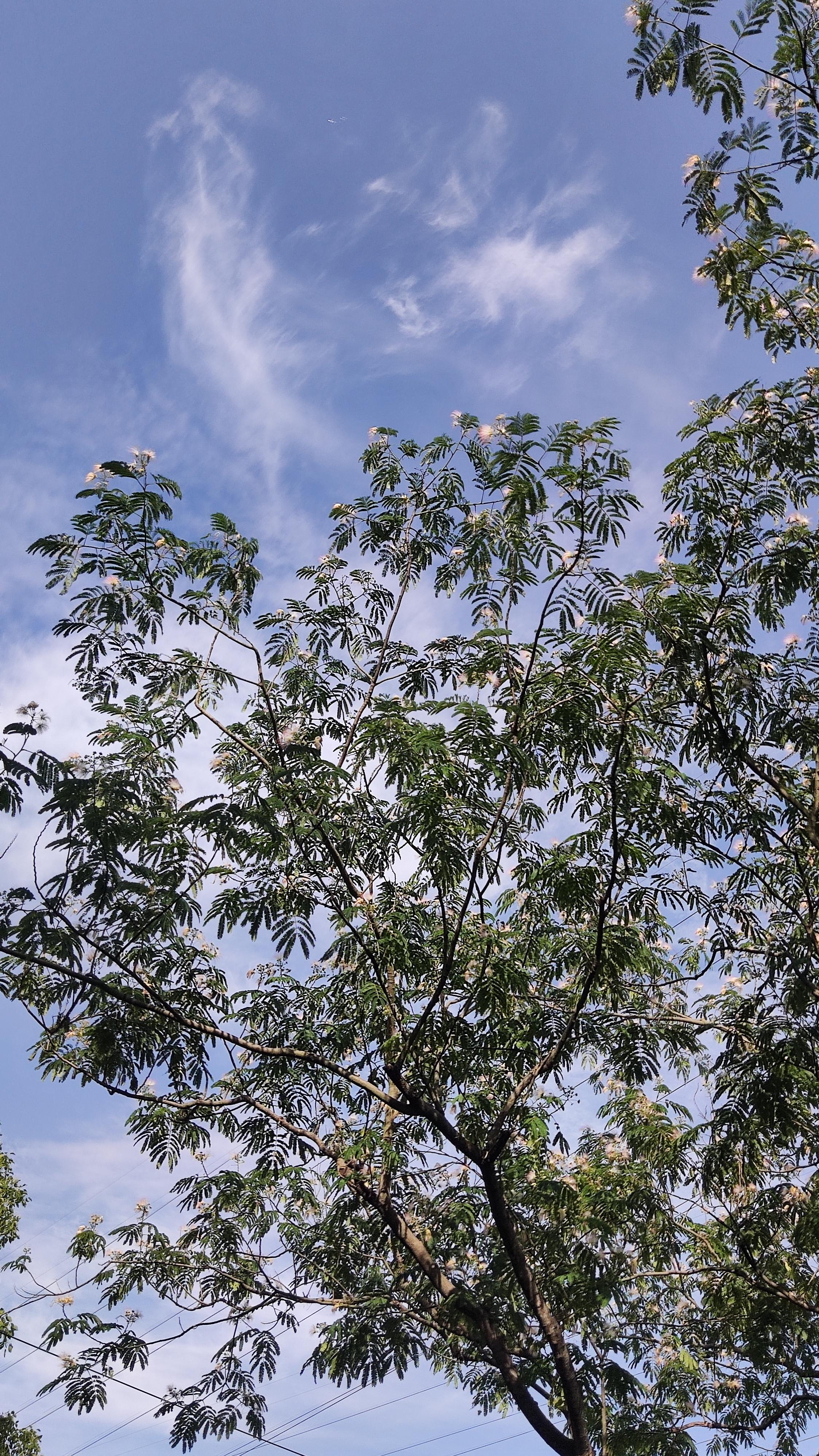 难得好天气在线 难得好天气在线
