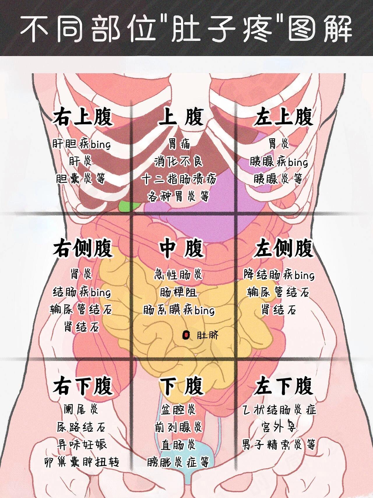 中医主任刘洪超 的想法: 不同部位的肚子疼,都代表什么问题?