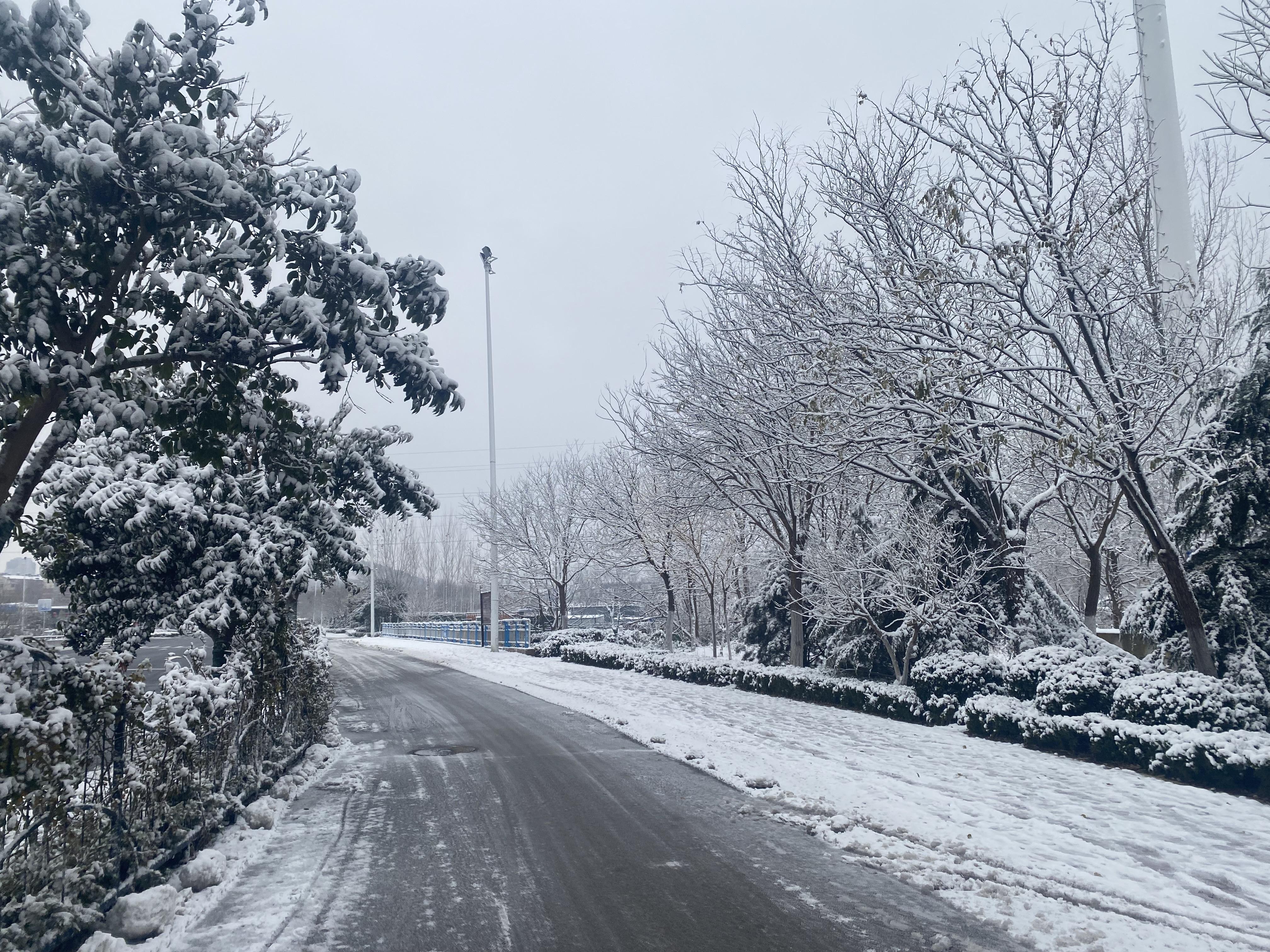 城市雪景图片冬天真实图片