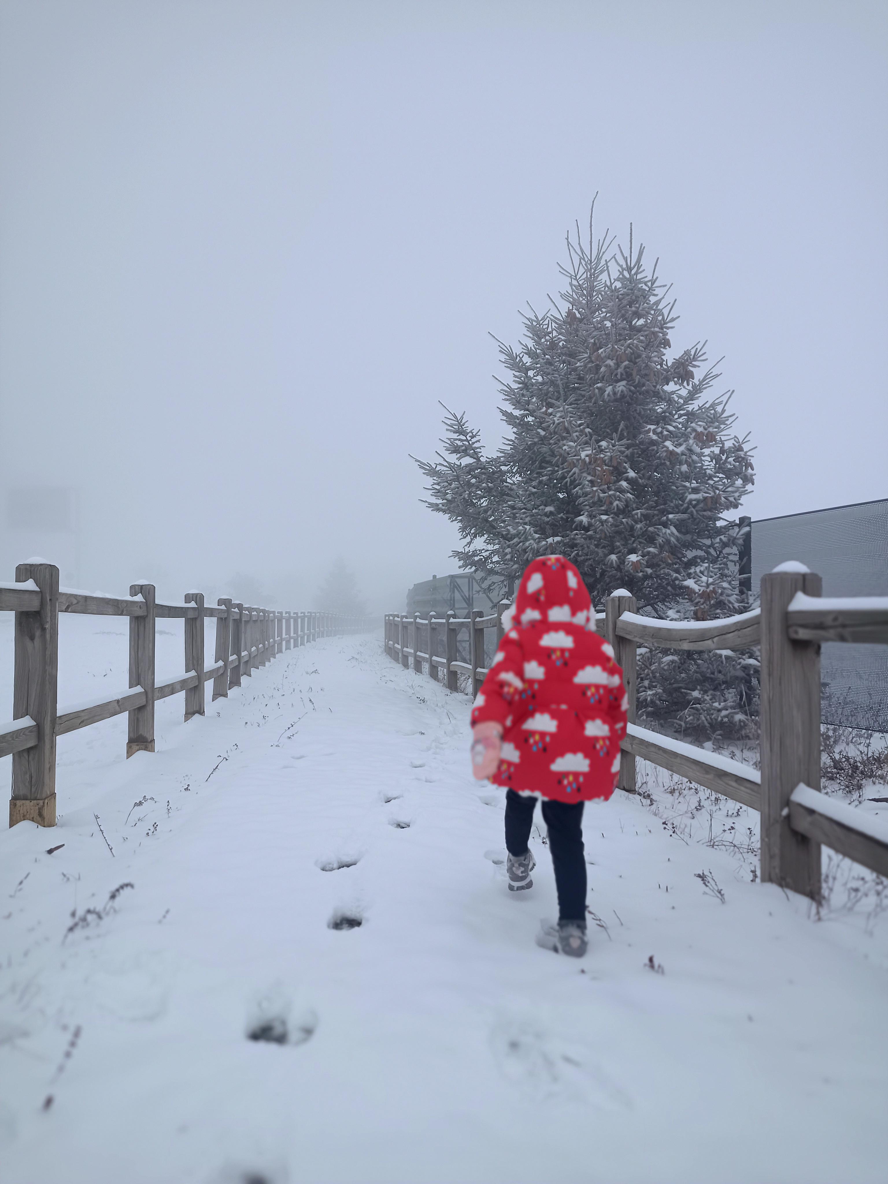 雪山一日游 去年去雪上半路上在甘海子玩嗨,崽的羽绒服在雪地里非常