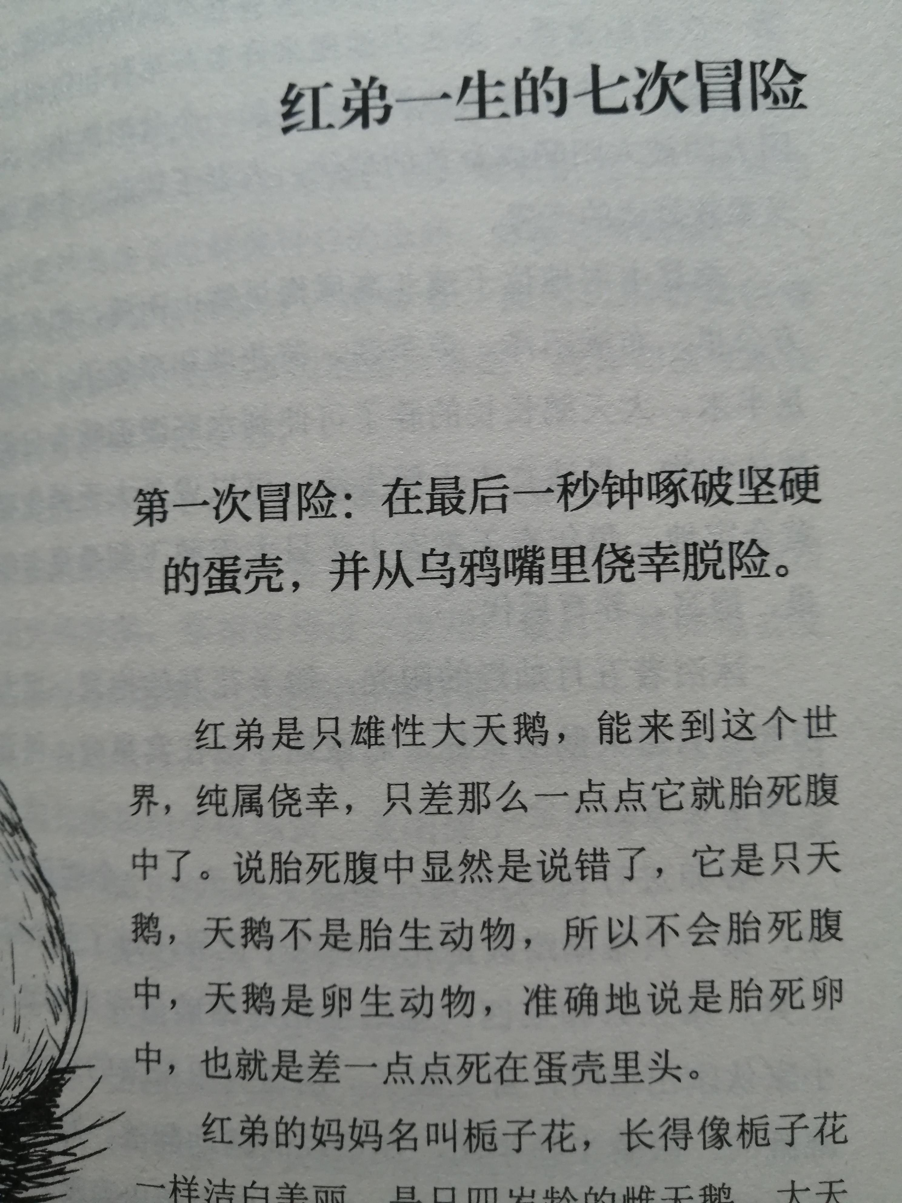 杨葱 的想法: 好书分享