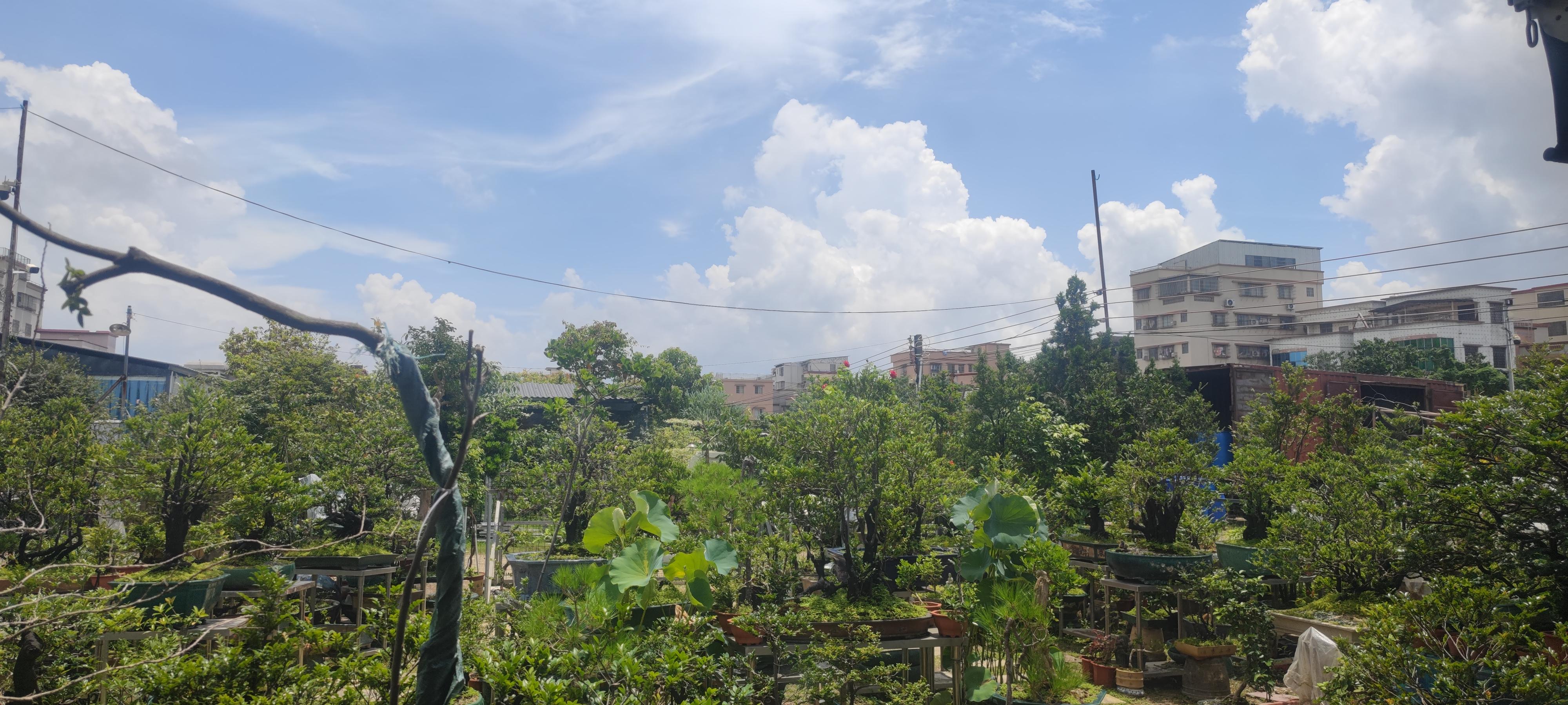 云铺旺 的想法: 为什么现在的民间投资越来越少?