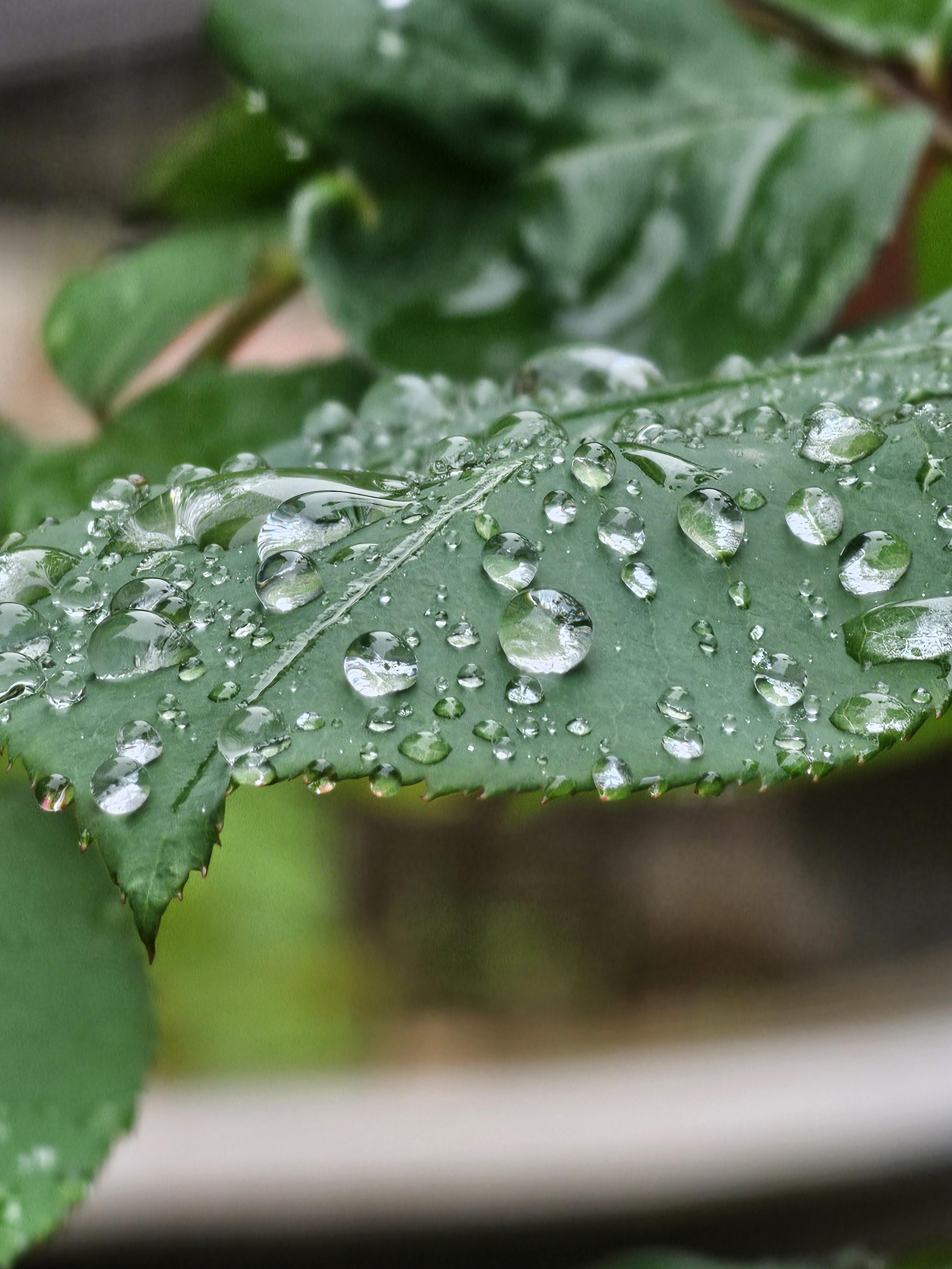 读书分享永远保持进取心许多人到了一定的岁数后做事