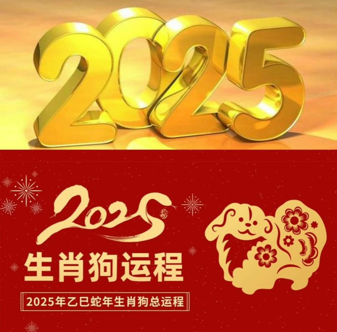 2025年狥生肖运势(麦玲玲十二生肖运势)
