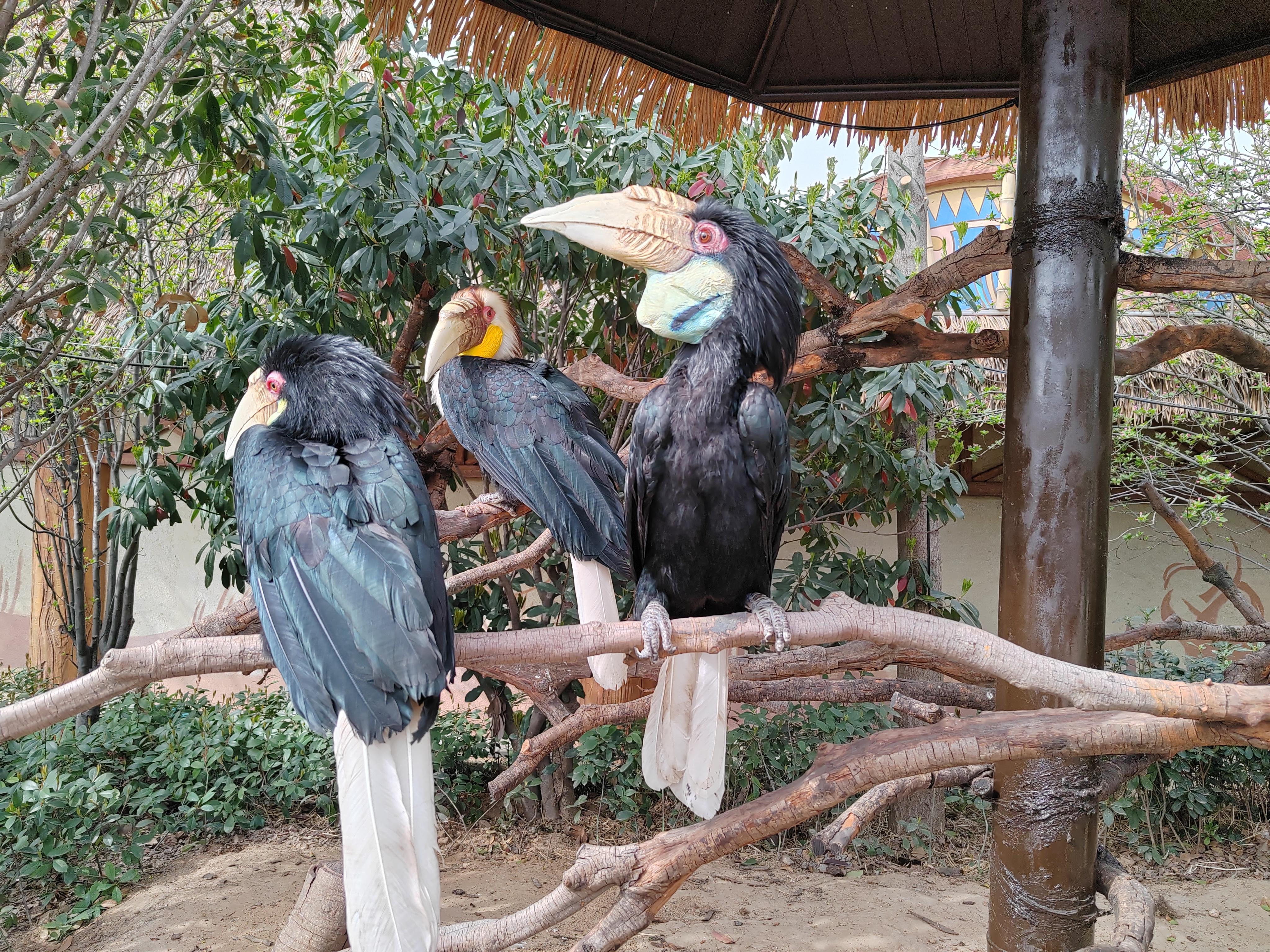 澳门飞禽走兽大全(2978飞禽走兽游戏手机版官网)