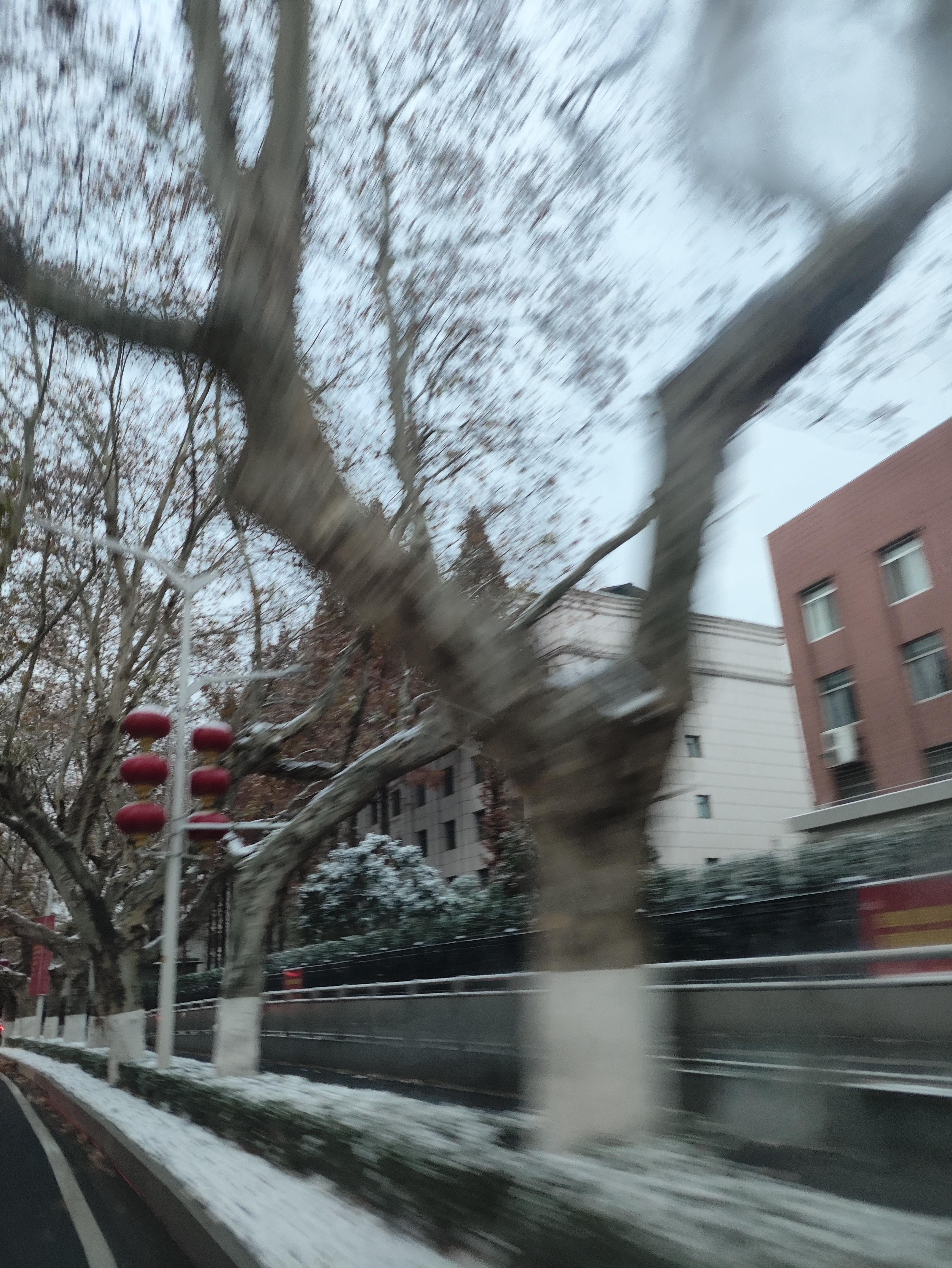 南京终于下雪了,有人说南京一下雪就成了金陵,真的很特别,已经很久