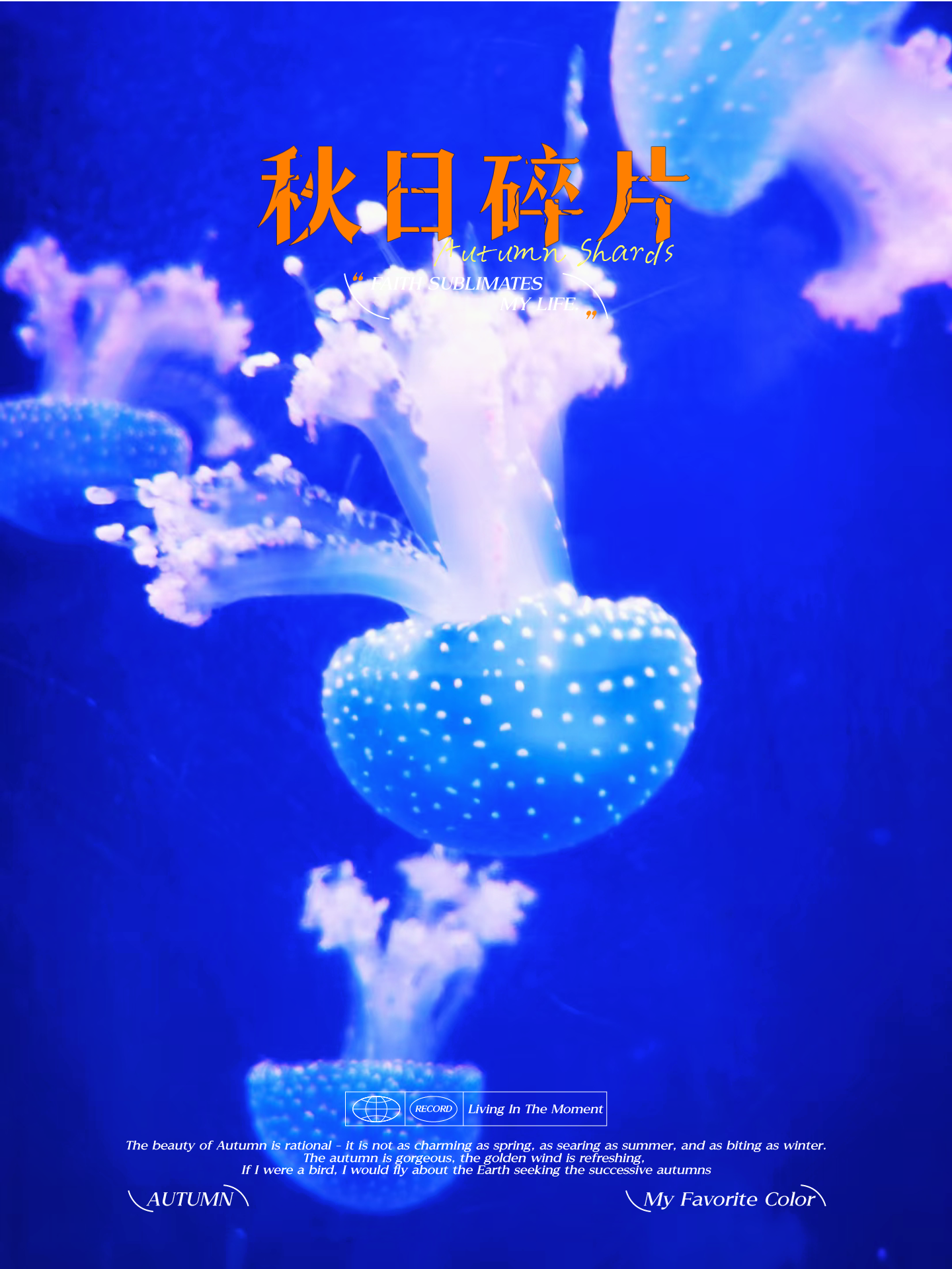 路有为 的想法: 五颜六色的水母狂欢! | 漫游海洋馆,被水母迷住.