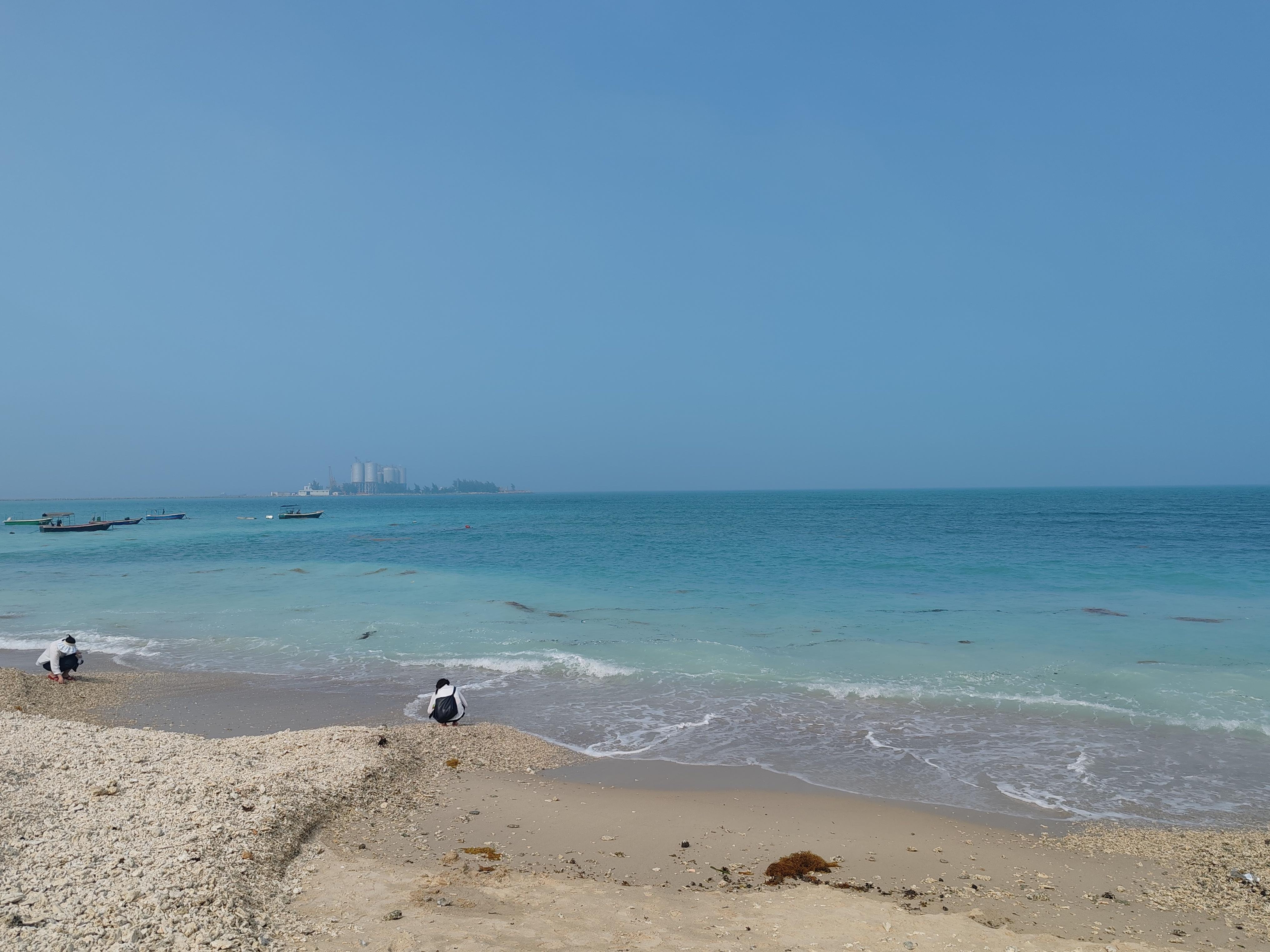 sid妈咪 的想法: 牛奶海龙湾港